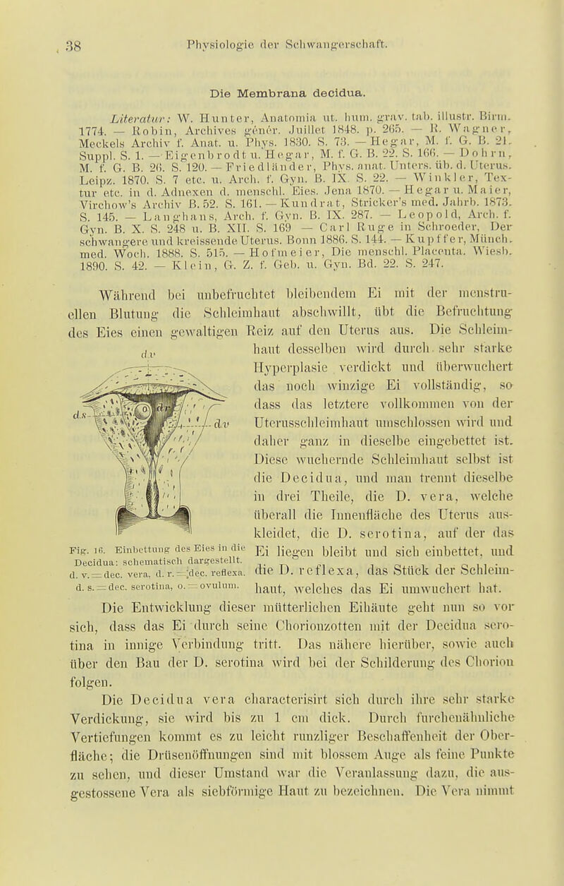 Die Membrana decidua. Literatur: W. Hunter, Anatnmia ut. hum. grav. tab. illustr. Birm. 1774. Etobin, Archives genfer. Juillet 1848. p. 2(55. - K. Wagner. Meckels Archiv f. Anat. u. Phvs. 1830. S. 73. —Hegar, M. I G. Ii. 21. Suppl. S. 1. Eigenbrodt u. Hegar, M. f. G. Ii. 22. S. L66. - Dohm. M. f. G. B. 2ß. S. 120.— Friedländer, Phys. anat.Unters.üb.d.Uterus. Leipz. 1870. S. 7 etc. u. Arch. f. Gyn. B. IX. S. 22. — Winkler, Tex- tur etc. in d. Adnexen d. menschl. Kies. Jena 1870. — Hegar u. Maier, Virchow's Archiv B. 52. S. 161.— Kundrat, Striekels med. Jahrb. 1873. S. 145. — Langhaus, Arch. f. Gyn. B. IX. 287. — Leopold, Arch. f. Gyn. B. X. S. 248 u. B. XII. S. 169 — Carl Rüge in Schroeder, Der schwangere und kreissende Uterus. Bonn 1886. S. 144. — K u p t f e r, Münch, med Woch. 18.SS. S. 515. — Hot'meier, Die menschl. Placenta. Wiesb. 1890. S. 42. - Klein, G. Z. f. Geb. u. Gyn. Bd. 22. S. 247. Während bei unbefruchtet bleibendem Ei mit der menstru- ellen Blutung die Schleimhaut abschwillt, übt die Befruchtung des Eies einen gewaltigen Reiz auf den Uterus aus. Die Schleim- dv Fig. 16. haut desselben wird durch, sehr starke Hyperplasie verdickt und überwuchert das noch winzige Ei vollständig, 80 dass das letztere vollkommen von der Uterusschleimhaut umschlossen wird und daher ganz in dieselbe eingebettet ist. Diese wuchernde Schleimhaut selbst ist die Decidua, und man trennt dieselbe in drei Theile, die D. vera, welche überall die Iunenfläche des Uterus aus- kleidet, die D. serotina, auf der das Ei liegen bleibt und sich einbettet, und die 1). reflexa, das Stück der Schleim- haut, welches das Ei umwuchert hat. Die Entwicklung dieser mütterlichen Eihäute geht nun so vor sich, dass das Ei durch seine Chorionzotten mit der Decidua sero- tina in innige Verbindung tritt. Das nähere hierüber, sowie auch über den Bau der D. serotina wird bei der Schilderung des Chorion folgen. Die Decidua vera charaeterisirt sich durch ihre sehr starke Verdickung, sie wird bis zu 1 cm dick. Durch furchenälmliche Vertiefungen kommt es zu leicht runzliger Beschaffenheit der Ober- fläche; die Drüsenöffnungen sind mit blossem Auge als feine Punkte zu seilen, und dieser Umstand war die Veranlassung dazu, die aus- gestossene Vera als siebförmige Maut zu bezeichnen. Die Vera nimmt Einbettung des Eies in die Decidua: schematisch dargestellt, d. v. = dec. vera, d. r. - ;dec. reflexa. d. s. = dec. serotina, o. — Ovulum.