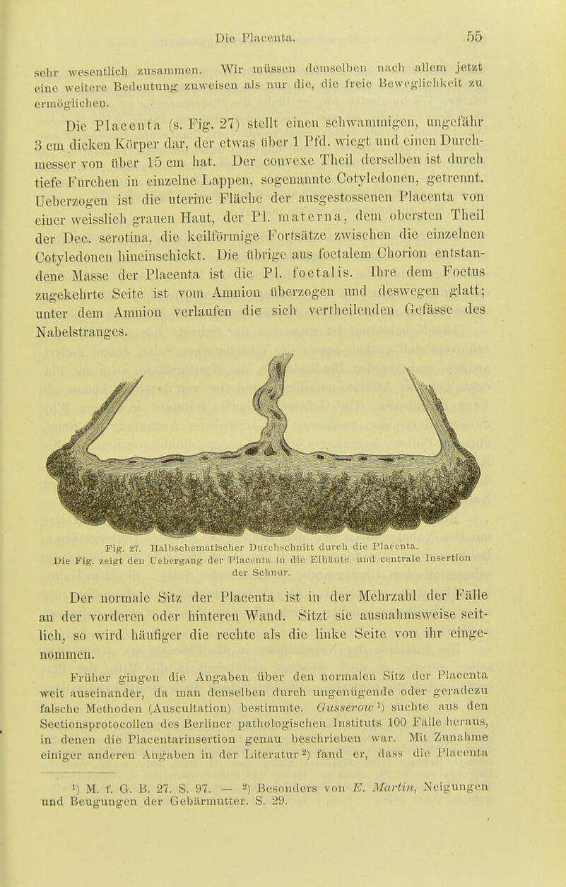 sehr wesentlich zusammen. Wir roüssen demselben nach allem jetzt eine weitere Bedeutung zuweisen als nur die, die freie Beweglichkeit zu ermöglichen- Die Placenta (s. Fig. 27) stellt einen schwammigen, ungefähr 3 cm dicken Körper dar, der etwas über 1 Pfd. wiegt und einen Durch- messer von über 15 cm bat. Der convexe Theil derselben ist durch tiefe Furchen in einzelne Lappen, sogenannte Cotyledonen, getrennt. Ueberzogen ist die uterine Fläche der ausgestossenen Placenta von einer weisslich grauen Haut, der PI. materna, dem obersten Theil der Dec. serotiua, die keilförmige Fortsätze zwischen die einzelnen Cotyledonen hineinschickt. Die übrige aus foetalem Chorion entstan- dene Masse der Placenta ist die PI. foetalis. Ihre dem Foetus zugekehrte Seite ist vom Amnion überzogen und deswegen glatt; unter dem Amnion verlaufen die sich vertheilenden Gefässe des Nabelstranges. Fig. 27. Halbscheniatischer Durchschnitt durch die Placenta. Die Fig. zeigt den üebergang der Placenta in die Eihäute, und centrale Insertion der Schnur. Der normale Sitz der Placenta ist in der Mehrzahl der Fälle an der vorderen oder hinteren Wand. Sitzt sie ausnahmsweise seit- lich, so wird häufiger die rechte als die linke Seite von ihr einge- nommen. Früher gingen die Angaben über den normalen Sitz der Placenta weit auseinander, da man denselben durch ungenügende oder geradezu falsche Methoden (Auscultation) bestimmte. Gusserow1) suchte aus den Sectionsprotocollen des Berliner pathologischen Instituts 100 Falle heraus, in denen die Placentarinsertion genau beschrieben war. Mit Zunahme einiger anderen Angaben in der Literatur-) fand er, dass die Placenta i) M. f. G. B. 27. S. 97. — ») Besonders von E. Marlin, Neigungen und Beugungen der Gebärmutter. S. 29.