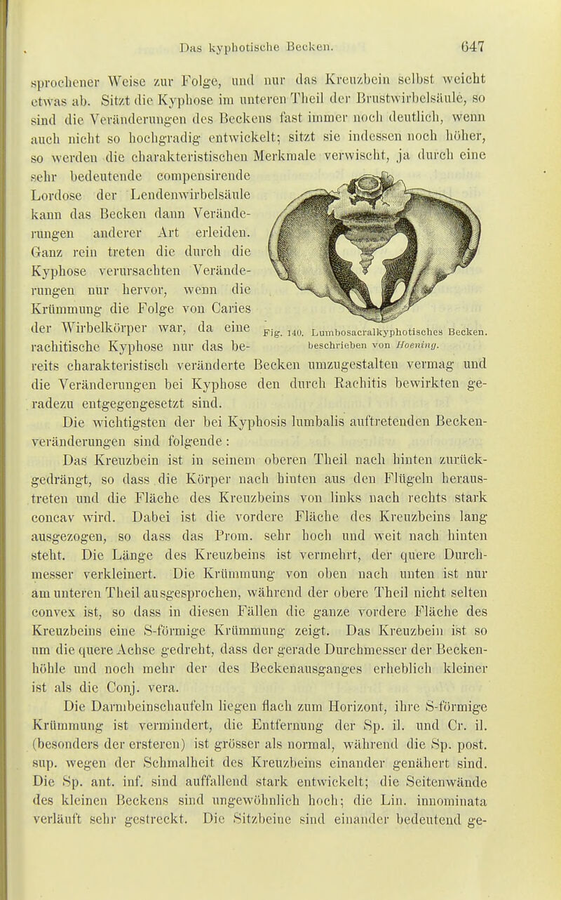 sprochener Weise zur Folge, und nur das Kreuzbein selbst weicht etwas ab. Sitzt die Kyphose im unteren Tlieil der Brustwirbelsäule, so sind die Veränderungen des Beckens fast immer noch deutlich, wenn auch nicht so hochgradig entwickelt; sitzt sie indessen noch höher, so werden die charakteristischen Merkmale verwischt, ja durch eine sehr bedeutende compensirende Lordose der Lendenwirbelsäule kann das Becken dann Verände- rungen anderer Art erleiden. Ganz rein treten die durch die Kyphose verursachten Verände- rungen nur hervor, wenn die Krümmung die Folge von Caries der Wirbelkörper war, da eine Fjg J4Ü Lumbosacralkyphotisches Becken. rachitische Kyphose nur das be- beschrieben von Hönning. reits charakteristisch veränderte Becken umzugestalten vermag und die Veränderungen bei Kyphose den durch Rachitis bewirkten ge- radezu entgegengesetzt sind. Die wichtigsten der bei Kyphosis lumbalis auftretenden Becken- veränderungen sind folgende : Das Kreuzbein ist in seinem oberen Theil nach hinten zurück- gedrängt, so dass die Körper nach hinten aus den Flügeln heraus- treten und die Fläche des Kreuzbeins von links nach rechts stark concav wird. Dabei ist die vordere Fläche des Kreuzbeins lang ausgezogen, so dass das Prom. sehr hoch und weit nach hinten steht. Die Länge des Kreuzbeins ist vermehrt, der quere Durch- messer verkleinert. Die Krümmung von oben nach unten ist nur amunteren Theil ausgesprochen, während der obere Theil nicht selten convex ist, so dass in diesen Fällen die ganze vordere Fläche des Kreuzbeins eine S-förmige Krümmung zeigt. Das Kreuzbein ist so um die quere Achse gedreht, dass der gerade Durchmesser der Becken- höhle und noch mehr der des Beckenausganges erheblich kleiner ist als die Conj. vera. Die Darmbeinschaufeln liegen flach zum Horizont, ihre S-förmige Krümmung ist vermindert, die Entfernung der Sp. il. und Cr. iL (besonders der ersteren) ist grösser als normal, während die Sp. post. sup. wegen der Schmalheit des Kreuzbeins einander genähert sind. Die Sp. ant. inf. sind auffallend stark entwickelt; die Seitenwände des kleinen Beckens sind ungewöhnlich hoch; die Lin. innominata verläuft sehr gestreckt. Die Sitzbeine sind einander bedeutend ge-