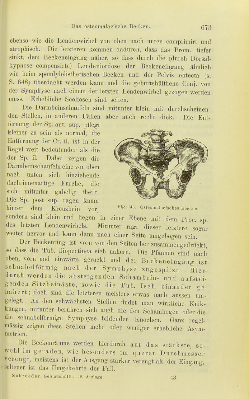 ebenso wie die Lendenwirbel von oben nach unten conipriniirt und atrophisch. Die letzteren kommen dadurch, dass das Prom. tiefer sinkt, dem Beckeneingang näher, so dass durch die (durch Dbrsal- kyphose compensirte) Lendenlordose der Beekeneingang ähnlich wie beim spondylolisthetisehen Becken und der Pelvis obtecta (s. S. 648) überdacht werden kann und die geburtshülfliche Conj. von der Symphyse nach einem der letzten Lendenwirbel gezogen werden muss. Erhebliche Scoliosen sind selten. Die Darmbeinschaufeln sind mitunter klein mit durchscheinen- den Stellen, in anderen Fällen aber auch recht dick. Die Ent- fernung der Sp. ant. sup. pflegt kleiner zu sein als normal, die Entfernung der Cr. iL ist in der Eegel weit bedeutender als die der Sp. iL Dabei zeigen die Darmbeinschaufeln eine von oben nach unten sich hinziehende dachrinnenartige Furche, die sich mitunter gabelig theilt. Die Sp. post sup. ragen kaum hinter dem Kreuzbein vor, sondern sind klein und liegen in einer Ebene mit dem Proc. sp. des letzten Lendenwirbels. Mitunter ragt dieser letztere sogar weiter hervor und kann dann nach einer Seite umgebogen sein. Der Beckenring ist vorn von den Seiten her zusammengedrückt, so dass die Tub. iliopectinea sich nähern. Die Pfannen sind nach oben, vorn und einwärts gerückt und der Beckeneingang ist schnabelförmig nach der Symphyse zugespitzt. Hier- durch werden die absteigenden Schambein- und aufstei- genden Sitzbeinäste, sowie die Tub. Isch. einander ge- nähert; doch sind die letzteren meistens etwas nach aussen um- gelegt. An den schwächsten Stellen findet man wirkliche Knik- kungen, mitunter berühren sich auch die den Schambogen oder die die schnabelförmige Symphyse bildenden Knochen. Ganz regel- mässig zeigen diese Stellen mehr oder weniger erhebliche Asym- metrien. Die Beckenräume werden hierdurch auf das stärkste, so- wohl im geraden, wie besonders im queren Durchmesser verengt, meistens ist der Ausgang stärker verengt als der Eingang, seltener ist das Umgekehrte der Fall. Schroeder, Geburtshülfe. 12. Auflage. 43 Fig. 14G. Osteomalaciscb.es Becken.