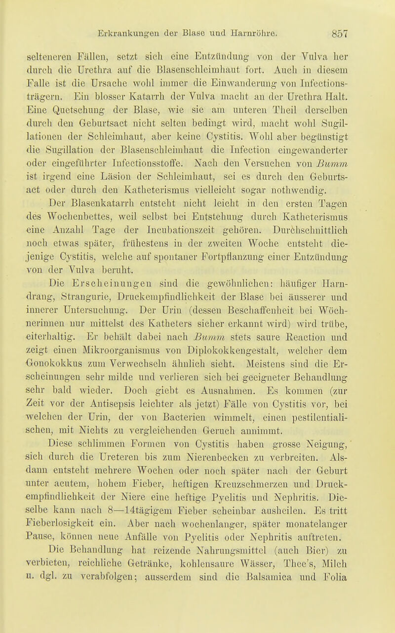 selteneren Fällen, setzt sich eine Entzündung von der Vulva her durch die Urethra auf die Blasenschleimhäut fort. Auch in diesem Falle ist die Ursache wohl immer die Einwanderung von Infections- trägern. Ein blosser Katarrh der Vulva macht an der Urethra Halt. Eine Quetschung der Blase, wie sie am unteren Theil derselben durch den Geburtsact nicht selten bedingt wird, macht wohl Sugil- lationen der Schleimhaut, aber keine Cystitis. Wohl aber begünstigt die Sugillation der Blasenschleimhaut die Infection eingewanderter oder eingeführter Infectionsstoffe. Nach den Versuchen von Bumm ist irgend eine Läsion der Schleimhaut, sei es durch den Geburts- act oder durch den Katheterismus vielleicht sogar nothwendig. Der Blasenkatarrh entsteht nicht leicht in den ersten Tagen des Wochenbettes, weil selbst bei Entstehung durch Katheterismus eine Anzahl Tage der Incubationszeit gehören. Durchschnittlich noch etwas später, frühestens in der zweiten Woche entsteht die- jenige Cystitis, welche auf spontaner Fortpflanzung einer Entzündung von der Vulva beruht. Die Erscheinungen sind die gewöhnlichen: häufiger Harn- drang, Strangurie, Druckempfindlichkeit der Blase bei äusserer und innerer Untersuchung. Der Urin (dessen Beschaffenheit bei Wöch- nerinnen nur mittelst des Katheters sicher erkannt wird) wird trübe, eiterhaltig. Er behält dabei nach Bumm stets saure Reaction und zeigt einen Mikroorganismus von Diplokokkeugestalt, welcher dem Gonokokkus zum Verwechseln ähnlich sieht. Meistens sind die Er- scheinungen sehr milde und verlieren sich bei geeigneter Behandlung sehr bald wieder. Doch giebt es Ausnahmen. Es kommen (zur Zeit vor der Antisepsis leichter als jetzt) Fälle von Cystitis vor, bei welchen der Urin, der von Bacterien wimmelt, einen pestilentiali- schen, mit Nichts zu vergleichenden Geruch annimmt. Diese schlimmen Formen von Cystitis haben grosse Neigung, sich durch die Ureteren bis zum Nierenbecken zu verbreiten. Als- dann entsteht mehrere Wochen oder noch später nach der Geburt unter acutem, hohem Fieber, heftigen Kreuzschmerzen und Druck- empfindlichkeit der Niere eine heftige Pyelitis und Nephritis. Die- selbe kann nach 8—14tägigem Fieber scheinbar ausheilen. Es tritt Fieberlosigkeit ein. Aber nach wochenlanger, später monatelanger Pause, können neue Anfälle von Pyelitis oder Nephritis auftreten. Die Behandlung hat reizende Nahrungsmittel (auch Bier) zu verbieten, reichliche Getränke, kohlensaure Wässer, Thee's, Milch u. dgl. zu verabfolgen; ausserdem sind die Balsamica und Folia