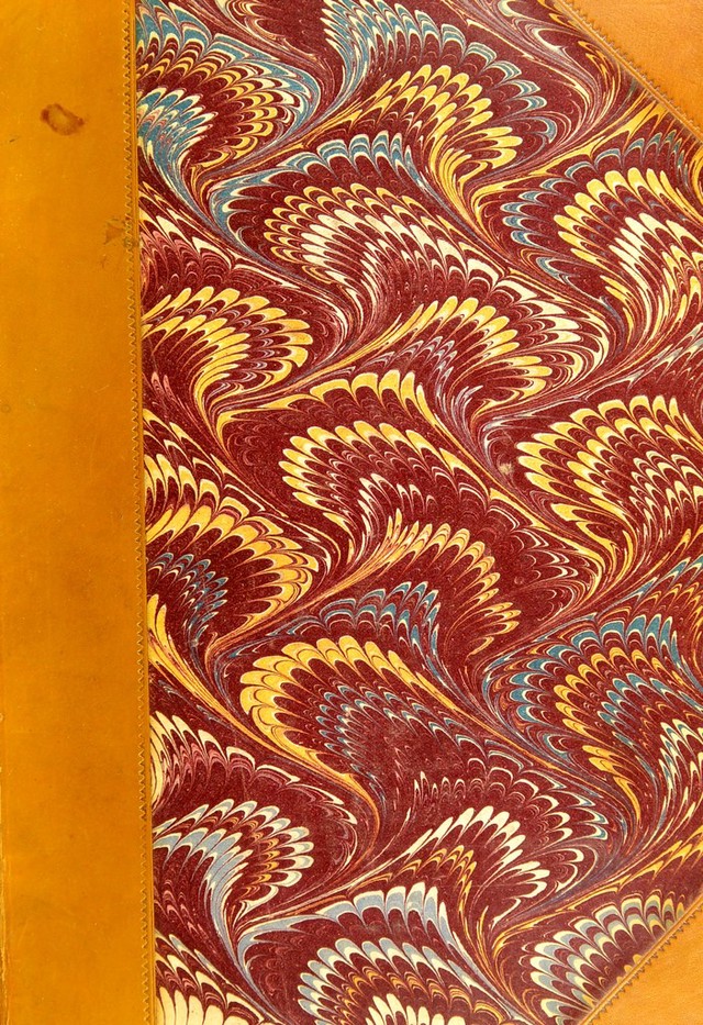 No text description is available for this image