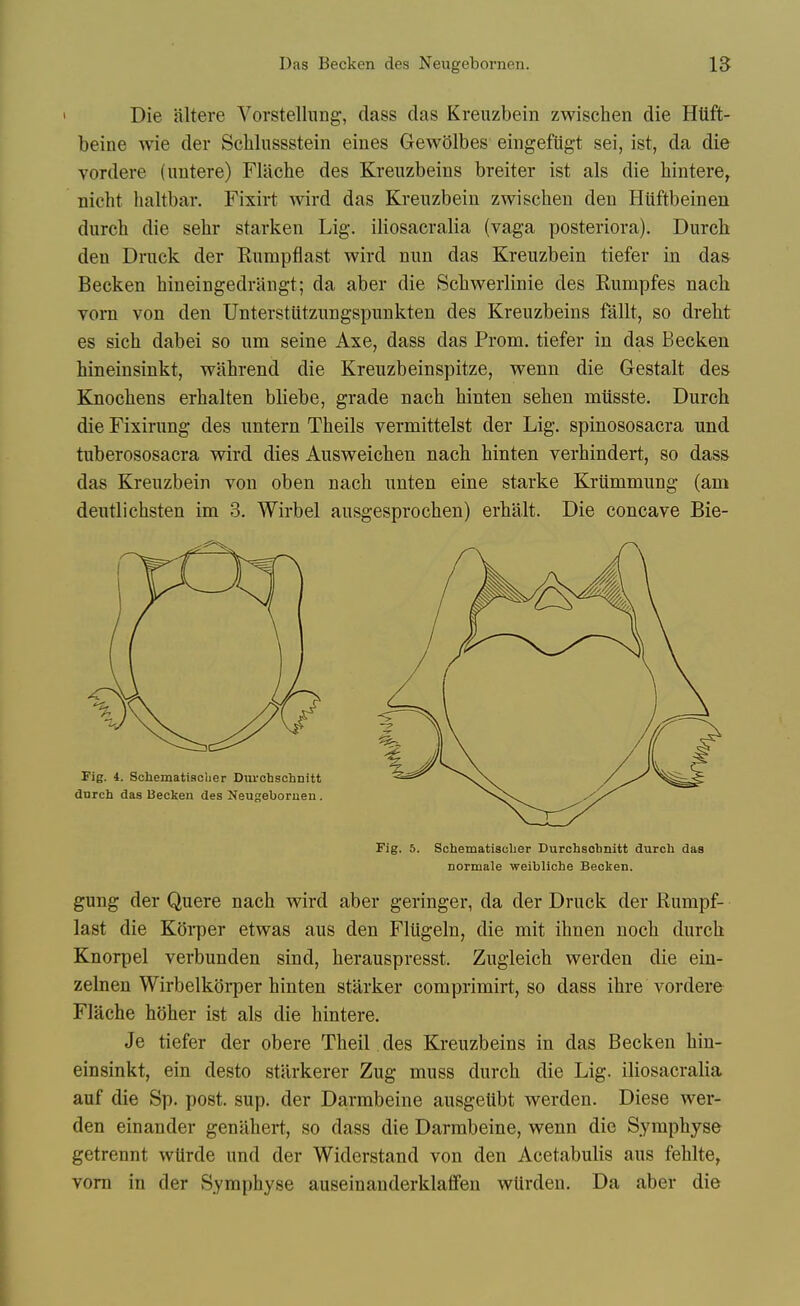 Die altere Vorstellung, dass das Kreuzbein zwischen die Htift- beine wie der Schliissstein eines Gewolbes eingefiigt sei, ist, da die vordere (imtere) Fliiche des Kreuzbeins breiter ist als die hintere, nicht haltbar. Fixirt wird das Kreuzbein zwischen den Hiiftbeinen durcb die sehr starken Lig. iliosacralia (vaga posteriora). Durcli den Druck der Rumpflast wird nun das Kreuzbein tiefer in das Becken Mneingedriingt; da aber die Scbwerlinie des Rumpfes nach Torn von den Unterstlitzungspunkten des Kreuzbeins fallt, so drebt es sich dabei so um seine Axe, dass das Prom, tiefer in das Becken hineinsinkt, wahrend die Kreuzbeinspitze, wenn die Gestalt des Knochens erhalten bliebe, grade nacb hinten sehen miisste. Durch die Fixirung des untern Theils vermittelst der Lig. spinososacra und tuberososacra wird dies Ausweicben nach hinten verhindert, so dass das Kreuzbein von oben nach unten eine starke Kriimmung (am deutlichsten im 3. Wirbel ausgesprochen) erhalt. Die concave Bie- Fig. 5. Schematisolier Durohscbnitt durcli das normale weibllche Becken. gung der Quere nach wird aber geringer, da der Druck der Rumpf- last die KOi-per etwas aus den Fliigeln, die mit ihnen noch durch Knorpel verbunden sind, herauspresst. Zugleich werden die eiu- zelnen Wirbelkoi-per hinten starker comprimirt, so dass ihre vordere Flache hoher ist als die hintere. Je tiefer der obere Theil .des Kreuzbeins in das Becken hin- einsinkt, ein desto stiirkerer Zug muss durch die Lig. iliosacralia auf die Sp. post. sup. der Darmbeine ausgetibt werden. Diese wer- den einander genahert, so dass die Darmbeine, wenn die Symphyse getrennt wtirde und der Widerstand von den Acetabulis aus fehlte, vom in der Symphyse auseinanderklaffen wlirden. Da aber die