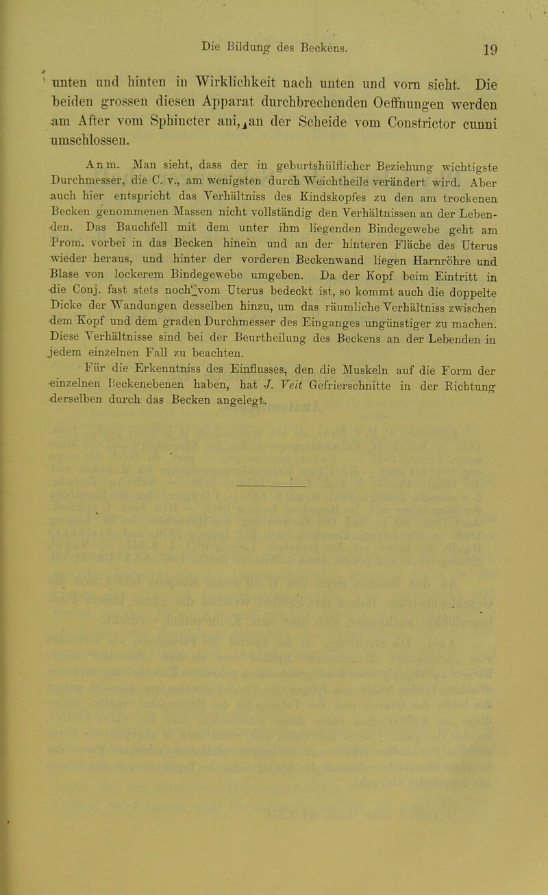 / ' Tinten und hinten iu Wirklichkeit nacb uuten und vorn sieht. Die beiden grossen diesen Apparat durchbrechenden Oefiiiungen werden am After vom Sphincter ani,jan der Scheide vom Constrictor cunni Timschlossen. Anm. Man sieht, dass der in geburtshiilflicher Beziehung wichtigste Durchmesser, die C. v., am wenigsten durch Weichtheile verandert wird. Aber auch hier entspricht das Verhaltniss des Kindskopfes zu den am trockenen Becken genommenen Massen nicht vollstandig den Verhaltnissen an der Leben- ■den. Das Bauchfell mit dem imter iLm liegenden Bindegewebe gebt am Prom, vorbei in das Becken hinein und an der binteren Flache des Uterus wieder heraus, und hinter der vorderen Beckenw and liegen Harm-obre und Blase von lockerem Bindegewebe umgeben. Da der Kopf beim Eintritt in ■die Conj. fast stets noch'J^vom Uterus bedeckt ist, so kommt auch die doppelte Dicke der Wandungen desselben binzu, um das raumlicbe Verbaltniss zwischen dem Kopf und dem graden Durchmesser des Einganges ungiinstiger zu machen. Diese Yerhaltnisse sind bei der Beurtheilung des Beekens an der Lebenden in jedem einzelnen Fall zu beachten. Fiir die Erkenntniss des Einflusses, den die Muskeln auf die Form der einzelnen lieckenebenen haben, hat J. Veit Gefrierschnitte in der Eicbtung ■derselben durch das Becken angelegt.