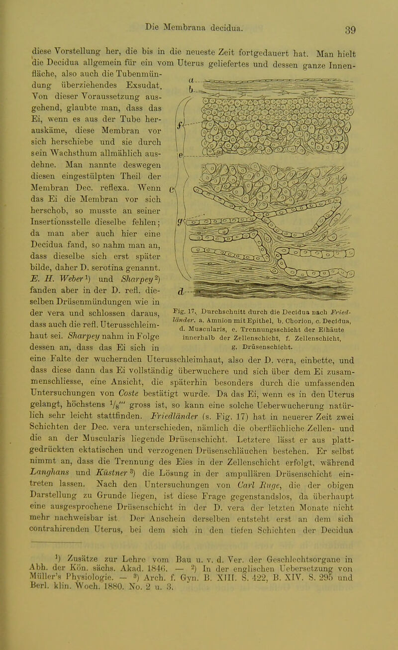 diese Vorstellung her, die bis in die neueste Zeit fortgedauert hat. Man hielt die Decidua allgemein fur ein vom Uterus geliefertes und dessen ganze Innen- flache, also auch die Tubenmiin- dung iiberziehendes Exsudat. ^' Von dieser Voraussetzung aus- gehend, glaubte man, dass das Ei, wenn es aus der Tube her- auskame, diese Membran vor sich herschiebe iind sie durch sein Wachsthum allmahlich aus- dehne. Man nannte deswegen diesen eingestiilpten Theil der Membran Dec. reflexa. Wenn das Ei die Membran vor sich herschob, so musste an seiner Insertionsstelle dieselbe fehlen; da man aber auch hier eine Decidua fand, so nahm man an, dass dieselbe sich erst spater bilde, daher D. serotina genannt. E. H. Weber ^) und Sharpey'^) fanden aber in der D. refl. die- selben Driisenmiindungen wie in der vera und schlossen daraus, dass auch die refl. Uterusschleim- haut sei. Sharpey nahm in Folge dessen an, dass das Ei sich in Fig. 17. Durchschoitt (lurch die Decidua uach Fried- lander, a. Amnion mitEpithel, b. Chorion, c. Decidua, d. Muscnlaris, e. Trennungsschicht der Elhiiute innerhalb der Zellenschioht, f. Zellenschicht, g. Drusenachioht. eine Falte der wuchernden Uterusschleimhaut, also der D. vera, einbette, und dass diese dann das Ei vollstandig iiberwuchere und sich iiber dem Ei zusam- menschliesse, eine Ansicht, die spaterhin besonders durch die umfassenden Untersuchungen von Coste bestatigt wurde. Da das Ei, wenn es in den Uterus gelangt, hochstens Vs' gross ist, so kann eine solche Ueberwucherung natiir- lich sehr leicht stattfinden. Friedldnder (s. Fig. 17) hat in neuerer Zeit zwei Schichten der Dec. vera unterschieden, namlich die oberflachliche Zellen- und die an der Muscularis liegende Driisenschicht. Letztere lasst er aus platt- gedriickten ektatischen und verzogenen Driisenschlauchen bestehen. Er selbst nimmt an, dass die Trennung des Eies in der Zellenschicht erfolgt. wahrend Lamjhans und Kixstner^) die Losung in der ampullaren Driisenschicht ein- treten lassen. Nach den Untersuchungen von Carl Huge, die der obigen Darstellung zu Grunde liegen, ist diese Frage gegenstandslos, da iiberhaupt eine ausgesprochene Driisenschicht in der D. vera der letzten Monate nicht mehr nachweisbar ist. Der Anschein derselben entsteht erst an dem sich contrahirenden Uterus, bei dem sich in den tiefen Schichten der Decidua Zusiitze zur Lehre vom Bau u. v. d. Ver. der Geschlechtsorgaue in Abh. der Kon. sachs. Akad. 184(5. — ^) In der englischen Uebcrsetzung von Miiller's Physiologic. - 3) Arch. f. Gyn. B. XIII. S. 422, B. XIV. S. 295 und Berl. klin. Woch. 1880. No. 2 u. 3.