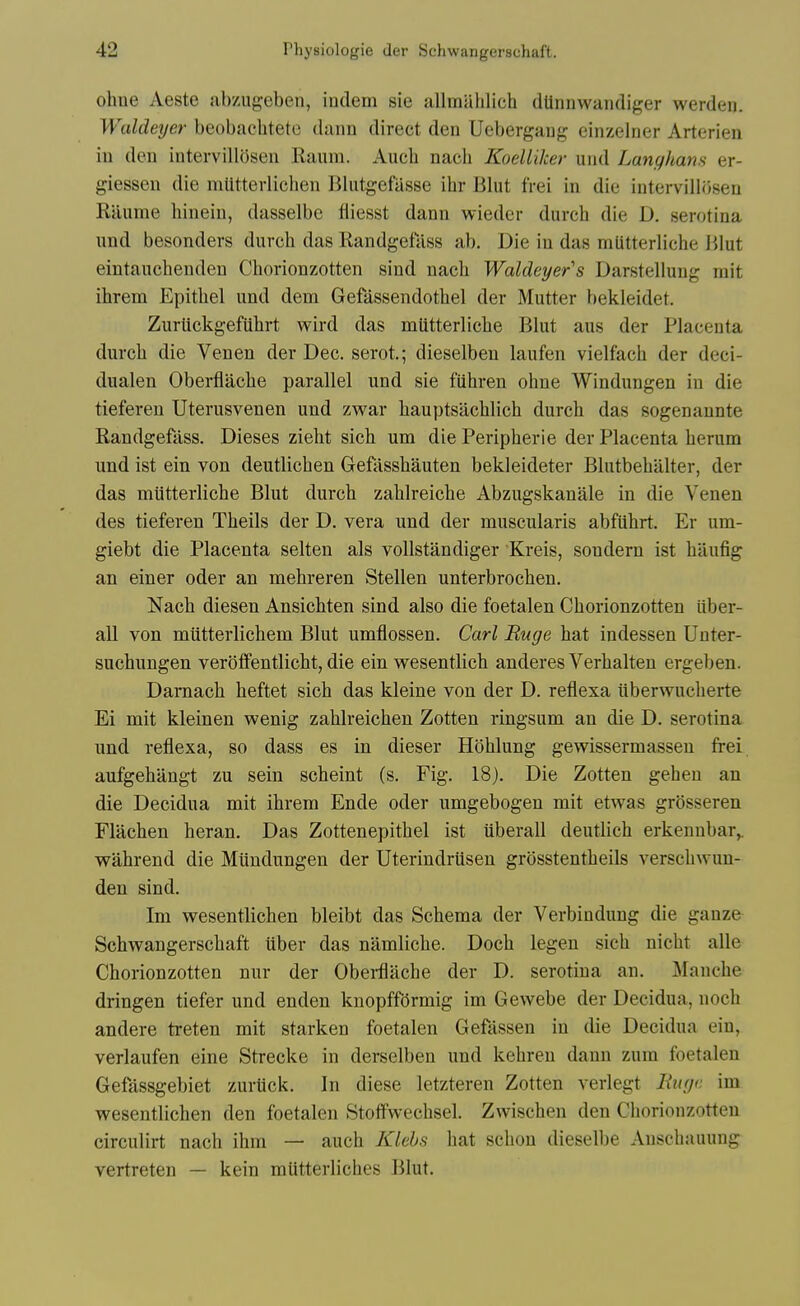 ohne Aeste abziigeben, indem sie allmalilich dUniiwandiger werden. Waldeyer beobachtete daiin direct den Uebergaiig einzelner Arterien iu den intervillosen Raum. Auch nacli KoelUker und Langhans er- giessen die mlitterlichen Blutgefasse ibr Blut frei in die intervillosen Rliume binein, dasselbe fliesst dann wieder durcb die D. serotina und besonders durcb das Randgefass ab. Die in das mUtterbche iilut eintauchenden Chorionzotten sind nach Waldeyer's Darstellung mit ibrem Epitbel und dem Gefassendotbel der Mutter bekleidet. Zuriickgefiibrt wird das miitterlicbe Blut aus der Placenta durcb die Venen der Dec. serot; dieselbeu laufen vielfacb der deci- dualen Oberflacbe parallel und sie fiibren ohne Windungen in die tiefereu Uterusvenen und zwar bauptsachlicb durcb das sogenannte Randgefass. Dieses ziebt sicb um die Peripberie der Placenta berum und ist ein von deutlicben Gefassbauten bekleideter Blutbebalter, der das miitterlicbe Blut durcb zablreicbe Abzugskanale in die Venen des tieferen Tbeils der D. vera und der muscularis abfiibrt. Er um- giebt die Placenta selten als vollstandiger Kreis, sondern ist baufig an einer oder an mebreren Stellen unterbrocben. Nach diesen Ansicbten sind also die foetalen Cborionzotten iiber- all von miitterlicbem Blut umflossen. Carl Ruge hat indessen Unter- sucbungen verotfentlicbt, die ein wesentlicb anderes Verhalten ergeben. Darnacb beftet sicb das kleine von der D. reflexa iiberwucberte Ei mit kleinen wenig zablreichen Zotten ringsum an die D. serotina und reflexa, so dass es in dieser Hoblung gewissermassen frei aufgebangt zu sein scheint (s. Fig. 18). Die Zotten geben an die Decidua mit ibrem Ende oder umgebogen mit etwas grosseren Flacben heran. Das Zottenepitbel ist iiberall deutlich erkennbar,. wabrend die Miindungen der Uterindrtisen grosstentbeils verscbwun- den sind. Im wesentlichen bleibt das Schema der Verbindung die gauze Scbwangerscbaft iiber das namlicbe. Docb legen sicb nicbt alle Cborionzotten nur der Obei-flacbe der D. serotina an. Manche dringen tiefer und enden knopffdrmig im Gewebe der Decidua, nocb andere treten mit starken foetalen Gefassen in die Decidua ein, verlaufen eine Strecke in derselben und kebreu dann zum foetalen Gefassgebiet zurtick. In diese letzteren Zotten verlegt Huge im wesentlichen den foetalen Stoffwecbsel. Zwischen den Cborionzotten circulirt nach ibm — auch Kkhs bat scbon dieselbe Anscbauung vertreten — kein miitterlicbes Blut.