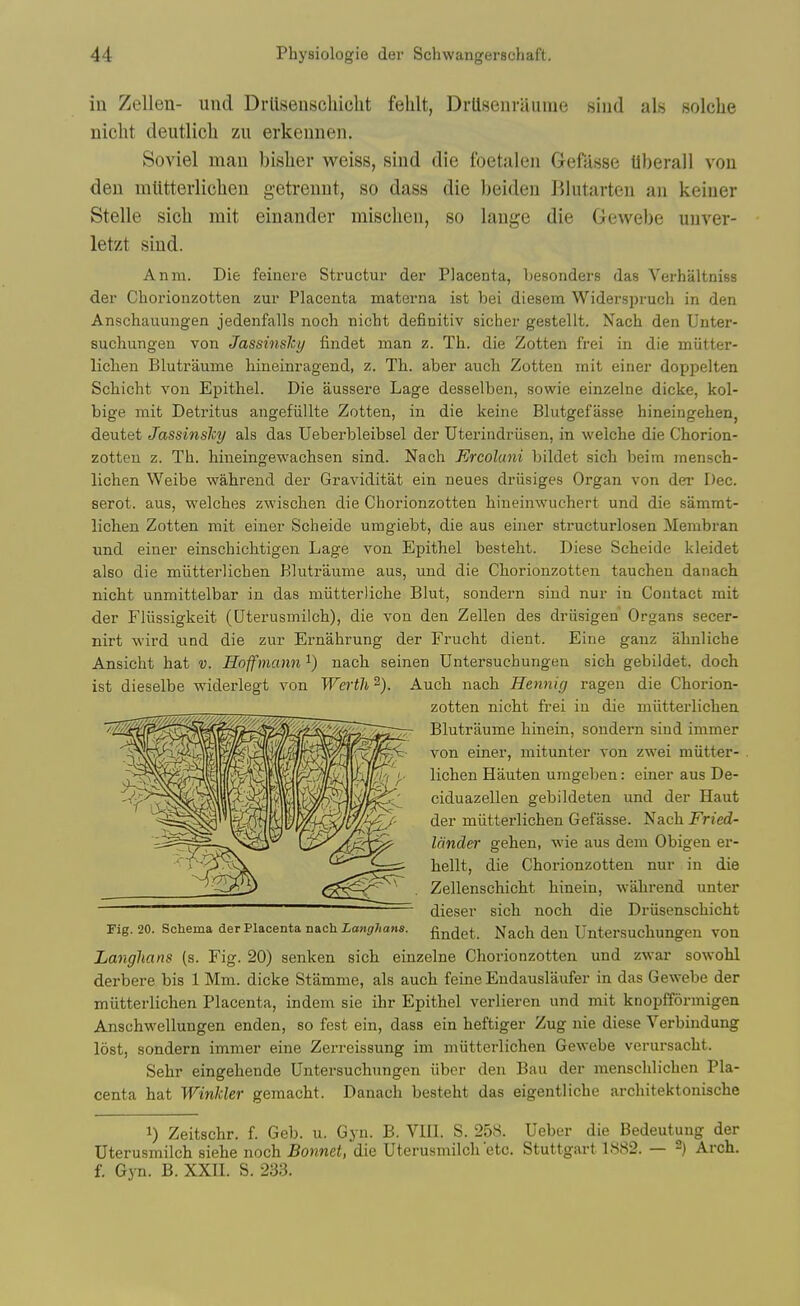 in Zellen- und Drllsenschiclit felilt, Drilsenraume siud als solclie niclit deutlicli zu erkeunen. Soviel man bislier weiss, sind die foetalen Geftisse tlberall vou deu ralitterliclien getreunt, so dass die beiden Blntarteii an keiuer Stelle sich mit einander mischeii, so laiige die Gewebe unver- letzt siud. Anm. Die feiiiere Structur der Placenta, besonders das Verhaltniss der Chorionzotten zur Placenta materna ist bei diesem Widerspruch in den Anschauungen jedenfalls noch nicht definitiv sicher gestellt. Nach den Unter- suchungeu von Jassiiisl'y findet man z. Th. die Zotten frei in die miitter- liclien Blutraume hineinragend, z. Th. aber auch Zotten mit einer doppelten Scliicht von Epithel. Die aussere Lage desselben, sowie einzelne dicke, kol- bige mit Detritus angefiillte Zotten, in die keine Blutgefasse hineingehen, deutet Jassinslcy als das Ueberbleibsel der Uterindriisen, in welche die Chorion- zotten z. Th. hineingewachsen sind. Nach Ercoluni bildet sich beim mensch- lichen Weibe wahrend der Graviditat ein ueues driisiges Organ von der Dec. serot. aus, welches zwischen die Chorionzotten hineinwuchert und die samrat- lichen Zotten mit einer Scheide umgiebt, die aus einer structurlosen Membran und einer einschichtigen Lage von Epithel besteht. Diese Scheide kleidet also die miitterlichen Blutraume aus, und die Chorionzotten tauchen danach nicht unmittelbar in das miitterliche Blut, sondern sind nur in Contact mit der Fliissigkeit (Uterusmilch), die von den Zellen des driisigen Organs secer- nirt wird und die zur Ernahrung der Frucht dient. Eine ganz ahnliche Ansicht hat v. Hoffmann i) nach seinen Untersuchungen sich gebildet, doch ist dieselbe widerlegt von Wertli Auch nach Hennic) ragen die Chorion- zotten nicht frei in die miitterlichen Blutraume hinein, sondern sind immer von einer, mitunter von zwei miitter- lichen Hauten umgeben: einer aus De- ciduazellen gebildeten und der Haut der miitterlichen Gefasse. Nach Fried- lander gehen, •wis aus dem Obigen er- hellt, die Chorionzotten nur in die Zellenschicht hinein, wahrend unter dieser sich noch die Driisenschicht Fig. 20. Schema der Placenta nach Zo«ir/m«s. flndet. Nach den Untersuchungen von Langhans (s. Fig. 20) senken sich einzelne Chorionzotten und zwar sowohl derbere bis 1 Mm. dicke Stamme, als auch feine Endausliiufer in das Gewebe der miitterlichen Placenta, indem sie ihr Epithel verlieren und mit knopfformigen Anschwellungen enden, so fest ein, dass ein heftiger Zug nie diese Verbindung lost, sondern immer eine Zerreissung im miitterlichen Gewebe verursacht. Sehr eingehende Untersuchungen iiber den Bau der menschlichen Pla- centa hat Winkler gemacht. Danach besteht das eigentliche architektonische 1) Zeitschr. f. Geb. u. Gyn. B. VIII. S. 258. Ueber die Bedeutuug der Uterusmilch siehe noch Bonnet, die Uterusmilch etc. Stuttgart 1.S82. — -) Arch, f. Gyn. B. XXII. S. 233.