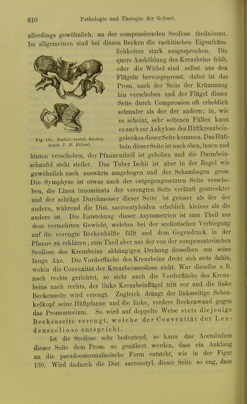 allerding'S gewbhnlich, au der corapeusirendeu Scoliose tbeilniinmt. Im allgemeinen sind bei diesen Beckeu die rachitischen EigenthUm- licbkeiten stark ausgesprochen. Die quere AusliOlilung des Kreuzbeius feblt, Oder die Wirbel sind selbst aus den FlUgeln bervorgepresst, dabei ist das Prom, nacb der Seite der Kriimmuug bin verscboben und der FlUgel dieser Seite durcb Compression oft erbeblieb scbmaler als der der andem; in, wie es scbeint, sebr seltenen Fallen kann es aucb zur Ankylose des Hliftkreuzbein- Fig. 130. sooiiot.-raoiiit. Becken gelenkes dieserSeite kommen. DasHUft- (naoh p. B. KUian). ^^-^^ dieser Seite ist nacb oben, innen und binten verscboben, der Pfannentbeil ist gehoben und die Darmbein- scbaufel stebt steiler. Das Tuber Iscbii ist aber in der Regel wie gewobnlicb nacb auswarts umgebogen und der Scbambogen gross. Die Sympbyse ist etwas nacb der entgegengesetzten Seite verscbo- ben, die Linea innominata der verengten Seite verlauft gestreckter und der scbrage Durcbmesser dieser Seite ist grosser als der der andern, wabrend die Dist. sacrocotyloidea erbeblieb kleiner als die andere ist. Die Entstebung dieser Asymmetrien ist zum Tbeil aus dem vermebrten Gewicbt, v^^elcbes bei der scoliotiscben Yerbiegung auf die verengte Beckenbalfte fallt und dem Gegendruck in der Pfanne zu erkliiren; zum Tbeil aber aus der von der compensatoriscbeu Scoliose des Kreuzbeins abbaugigen Drebung desselbeu urn seine lange Axe. Die Vorderflacbe des Kreuzbeins drebt sicb stets dabin, wobin die Convexitat der Kreuzbeinscoliose siebt. War dieselbe z.B. nacb rechts gericbtet, so siebt aucb die Vordei-flacbe des Kreuz- beins nacb recbts, der linke Kreuzbeinflugel tritt vor und die Unke Beckenseite wird verengt. Zugleicb drangt der Huksseitige Scbeu- kelkopf seine Hliftpfanne und die linke, vordere Beckenwaud gegeu das Promontorium. So wird auf doppelte Weise stets diejenige Beckenseite verengt, welcbe der Convexitat der Leu- denscoliose entspricbt. Ist die Scoliose sebr bedeutend, so kann das Acetabulum dieser Seite dem Prom, so genabert werden, dass ein Ankbang an die pseiidoosteomalaciscbe Form entstebt, wie in der Figur 130. Wird dadurcb die Dist. sacrocotyl. dieser Seite so eng, dass