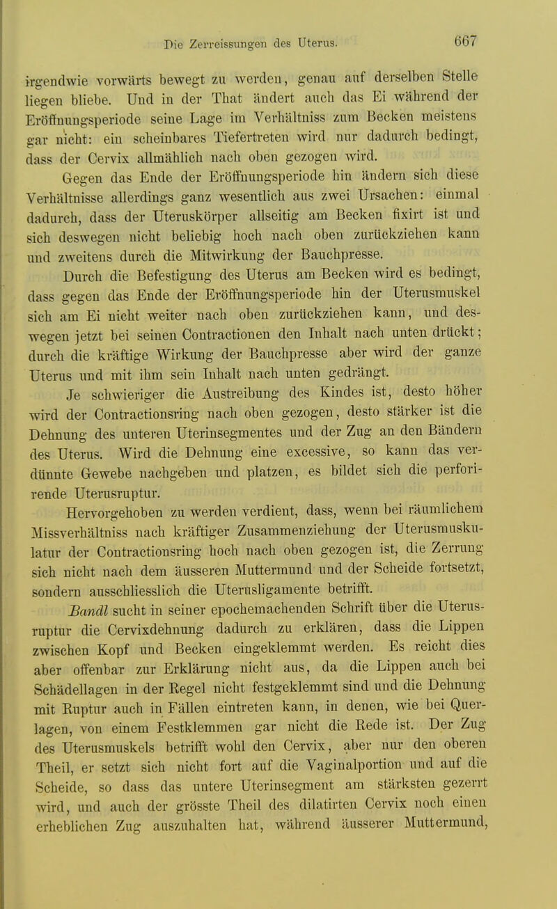 irgendwie vorwarts bewegt zu werdeu, genaii aiif derselben Stelle liegen bliebe. Und in der That andert auch das Ei wahrend der ErOffniingsperiode seine Lage im Verhaltniss zum Becken meistens gar nicht: ein sclieinbaves Tiefertveten wird nur dadurch bedingt, dass der Cervix allmahlich nacli oben gezogen wird. Gegen das Ende der Eroffnungsperiode bin andern sich diese Verhiiltnisse allerdings ganz wesentlich aus zwei Ursachen: einmal dadurch, dass der Uteruskorper allseitig am Becken fixirt ist und sich deswegen nicht beliebig hoch nach oben zurUckziehen kann und zweitens durch die Mitwirkung der Bauchpresse. Durch die Befestigung des Uterus am Becken wird es bedingt, dass gegen das Ende der Eroffnungsperiode hin der Uterusmuskel sich am Ei nicht welter nach oben zurUckziehen kann, und des- wegen jetzt be! seinen Contractionen den luhalt nach unten druckt; durch die kraftige Wirkung der Bauchpresse aber wird der ganze Uterus und mit ihm sein Inhalt nach unten gedrangt. Je schwieriger die Austreibung des Kindes ist, desto hoher wird der Contractionsring nach oben gezogen, desto starker ist die Dehnung des unteren Uterinsegmentes und der Zug an den Biindern des Uterus. Wird die Dehnung eine excessive, so kann das ver- dtinnte Gewebe nachgeben und platzen, es bildet sich die perfori- rende Uterusruptur. Hervorgehoben zu werden verdient, dass, wenn bei raumlichem Missverhaltniss nach kraftiger Zusammenziehung der Uterusrausku- latur der Contractionsring hoch nach oben gezogen ist, die Zerrung sich nicht nach dem ausseren Muttermund und der Scheide fortsetzt, sondera ausschliesslich die Uterusligamente betrifft. Bandl sucht in seiner epochemachenden Schrift uber die Uterus- ruptur die Cervixdehnung dadurch zu erklaren, dass die Lippen zwischen Kopf und Becken eingeklemmt werden. Es reicht dies aber offenbar zur Erklarung nicht aus, da die Lippen auch bei Schadellagen in der Kegel nicht festgeklemmt slnd und die Dehnung mit Ruptur auch in Fallen eintreten kann, in denen, wie bei Quer- lagen, von einem Festklemmen gar nicht die Rede ist. Der Zug des Uterusmuskels betrifft wohl den Cervix, aber nur den oberen Theil, er setzt sich nicht fort auf die Vaginalportion und auf die Scheide, so dass das untere Uteriusegment am stiirksten gezerrt wird, und auch der grSsste Theil des dilatirten Cervix noch einen erheblichen Zug auszuhalten hat, wahrend iiusserer Muttermund,