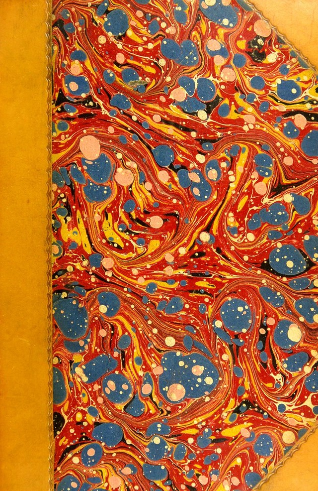 No text description is available for this image