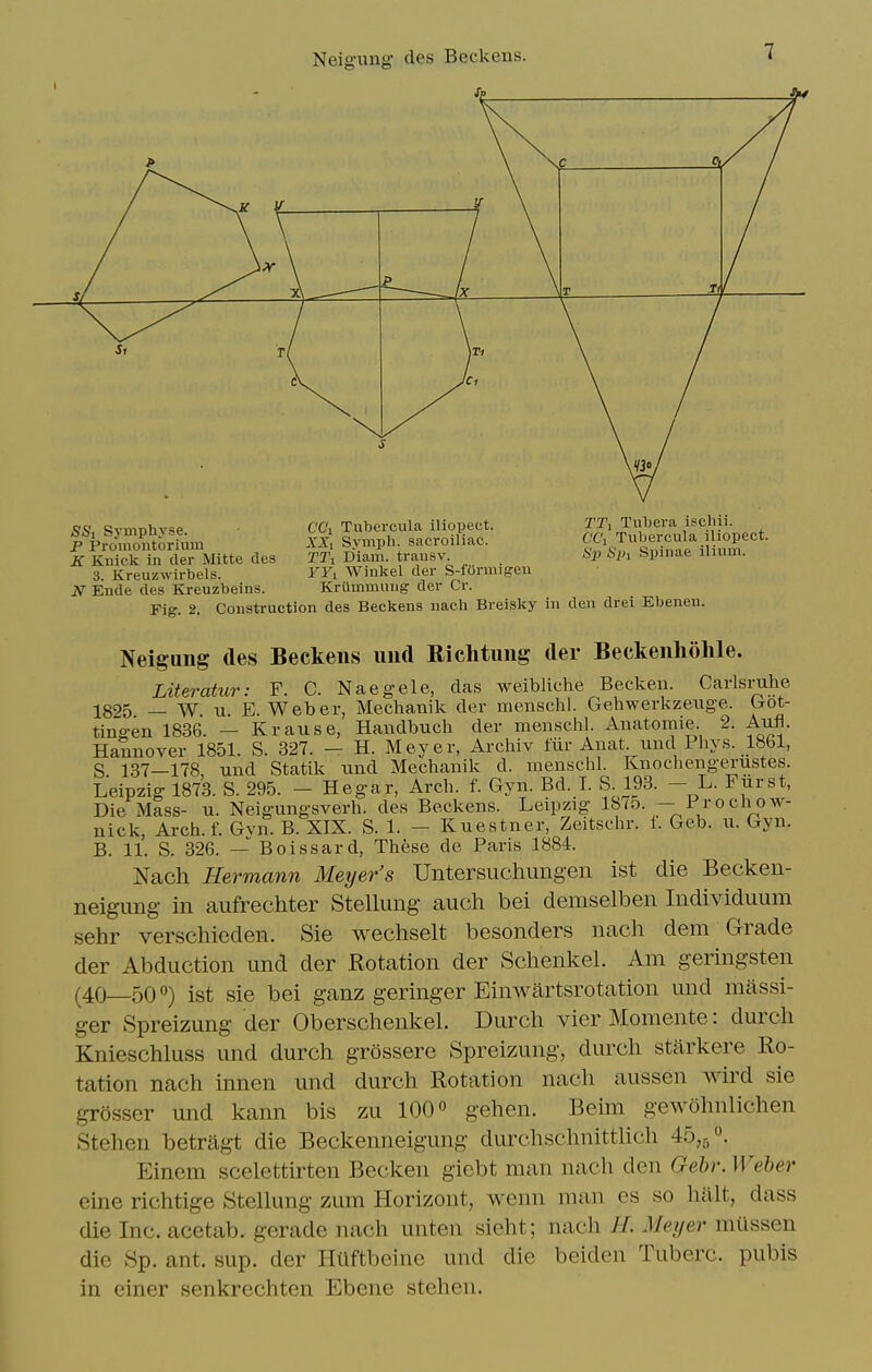 c c. / If ir \ T It / \ Ix \ Si x/ \ti \ / SSi Symphyse. P Promoutorium E Knick in der Mitte des 3. Kreuzwirbels. N Ende des Kreuzbeins CC'i Tubercula iliopect. XXi Symph. sacroiliac. TTi Diam. trausv. YYi Winkel der S-fOnnigen Krilmmuug der Cr. TTi Tubera iscliii. C'C'i Tubercula iliopect. Sp Spi Spinae ilium. Fig. 2. Construction des Beckens nacli Breisky in den drei Ebenen. Neigung des Beckens imd Riclituiig der Beckenhohle. Literatur: F. C. Naegele, das weibliche Becken. Carlsruhe 1895 — W u E.Weber, Mechanik der menschl. Gehwerkzeuge. Irot- tingen 1836. - Krause, Handbuch der menschl Anatomic 2. Aufl. Hannover 1851. S. 327. - H. Meyer, Archiv fiir Anat und Phys. 1861, S 137—178 und Statik nnd Mechanik d. menschl. Knochengerustes. Leipzig 1873. S. 295. - Hegar, Arch. f. Gyn. Bd. I. S. 193. - L. Fjirst, Die Mass- u. Neigungsverh. des Beckens. Leipzig Ihih. — Prochow- nick, Arch.f. Gvn. B. XIX. S. 1. — Kuestner, Zeitschr. 1. Geb. u. Gyn. B. 11. S. 326. — Boissard, These de Paris 1884. Nach Hermann WIeijer's Untersuchuiigen ist die Becken- neigung- in aufrechter Stellung auch bei demselben Individuum sehr verschieden. Sie wechselt besonders nach dem Grade der Abduction und der Rotation der Schenkel. Am geringsten (40—50ist sie bei ganz geringer Einwartsrotation und massi- ger Spreizung der Oberschenkel. Durch vier Momente: durcli Knieschluss und durch grossere Spreizung, durch stiirkere Ro- tation nach innen und durch Rotation nach aussen wird sie grosser und kann bis zu 100° gehen. Beim gewohnlichen Stehen betragt die Beckenneigung durchschnitthch 45,50. Einem scelettirten Becken giebt man nach den Qebr. Weber eine richtige Stelhmg zum Horizont, wenn man es so halt, dass die Inc. acetab. gerade nach unten sieht; nach H. Meyer miissen die Sp. ant. sup. der Hilftbeine und die beiden Tuberc. pubis in einer senkrcchten Ebcne stehen.