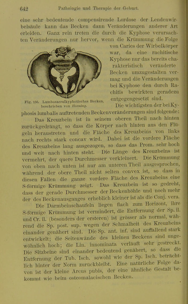 eine sehr bedcutendo compcnsircnde Lordose der Lendenwii- belsiiule kann das Beckcn dann Vcranderungen aiiderer Art erleiden. Ganz rein treten die durch die Kyphose verursacli- ten Verilnderungen nur hervor, weiin die Krummung die Folge von Caries der Wirbelkorper war, da eine racliitische Kyphose nur das bercits cha- rakteristisch verilnderte Beckcn umzugestalten ver- mag und die Verandcrungen bei Kyphose den durch Ra- chitis bewirkten geradezu , ^ , entffegengesetzt sind. Fig. 13G. Lumtoosacralkypliotischea Becken, ^ t5 & o , i • beschricben von Hoening. Dic wichtigstcu dcr bci Ky- phosis lumbalis auftretenden Beckenveranderungen sind folgendc: Das Kreuzbein ist in seinem oberen Theil nach hinten zurilckgedrangt, so dass die Korper nach hinten aus den Flu- gehi heraustreten und die Flache des Kreuzbeins von links nach rechts stark concav wird. Dabei ist die vordere Flache des Kreuzbeins lang ausgezogen, so dass das Prom, sehr hoch und weit nach hinten steht. Die Lange des Kreuzbeins ist vermehrt, der quere Durchmesser verkleinert. Die Krummung von oben nach unten ist nur am unteren Theil ausgesprochen, wahrend der obere Theil nicht selten convex ist, so dass in diesen Fallen die ganze vordere Flache des ICreuzbeins eine S-formige Krummung zeigt. Das Kreuzbein ist so gcdreht, dass der gerade Durchmesser der Beckenhohle und noch raehr der des Beckenausganges erheblich kleiner ist als die Conj. vera. Die Darmbeinschaufeln liegen flach zum Horizont, ihre S-formige Krummung ist vermindert, die Entfernung dcr Sp. il. und Cr. il. (besonders der ersteren) ist grosser als normal, wah- rend die Sp. post. sup. wegen der Schmalheit des Kreuzbcms einander genahert sind. Die Sp. ant. inf. sind auffallcnd stark cntwickelt; die Seitenwande des kleinen Beckons smd ungc- wohnlich hoch; die Lin. innominata verlauft sehr gestrcckt. Die Sitzbeine sind einander bedeutend genahert, so dass die Entfernung der Tub. Isch. sowohl wie der Sp. Isch. bctrJlcht- lich hinter dcr Norm zuriickbleibt. Eine natilrlichc Folge da- von ist der kleinc Arcus pubis, der cine ahnliche Gestalt bc- kommt wie beim osteomalacischen Becken.