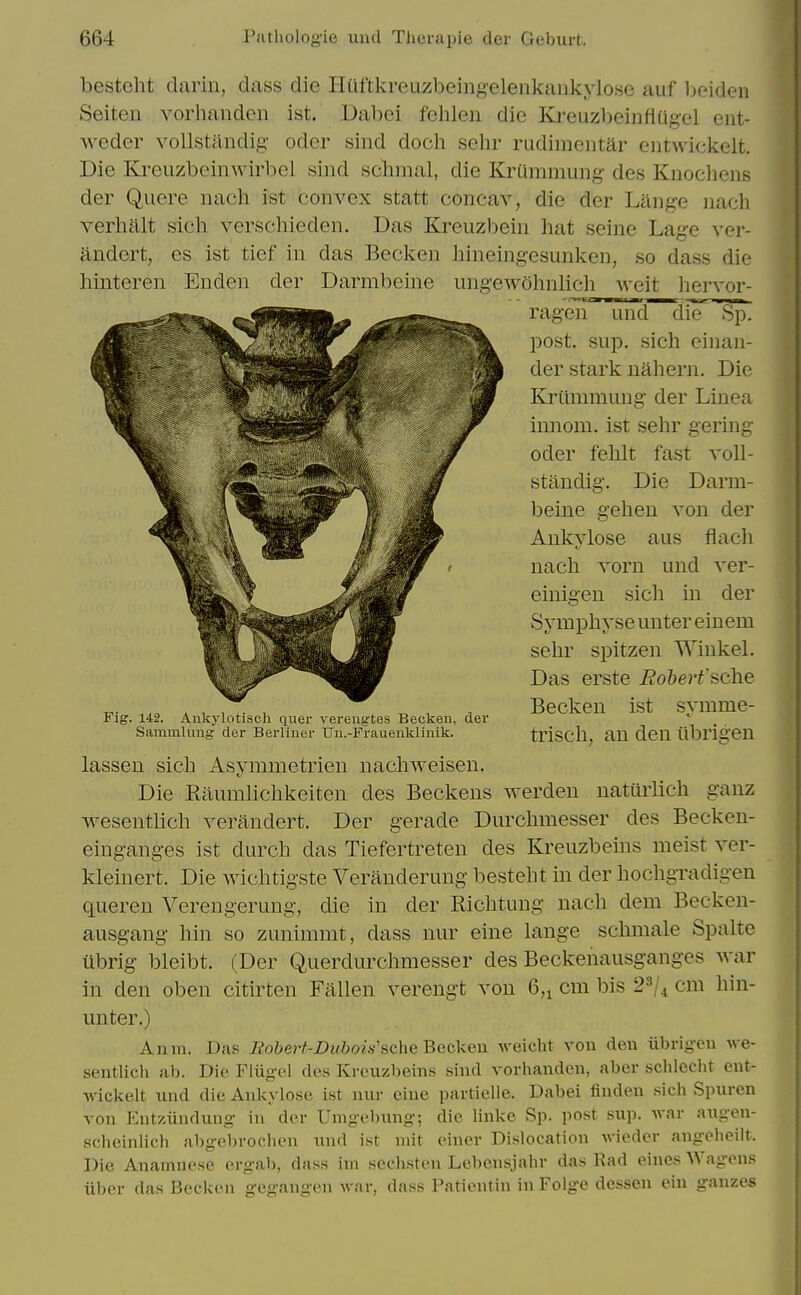 besteht darin, dass die Huftkreuzbeingelenkaukylose auf boiden Seiten vorhanden ist. Dabei fehlen die KreuzbeinfiUgel ent- weder vollstandig- oder sind doch selir rudimentar entwickelt. Die Kreuzbeinwirbel sind scbmal, die Kraramung- des Kiioelieiis der Quere nach ist convex statt concav, die der Lang-e nach verhalt sicb verschieden. Das Kreuzbein hat seine Lag'e ver- andert, es ist tief in das Becken hineingesunken, so dass die hinteren Enden der Darmbeine uugewohnlich Mcit liervor- ragen und die Sp. post. sup. sich einan- der stark nahern. Die Kriimmung der Linea innom. ist sehr gering Oder fehlt fast voll- standig. Die Darm- beine gehen von der Ankylose aus flacli nach vorn und ver- einigen sich in der Symphyse unter eiuem sehr spitzen Winkel. Das erste Boherfsche Becken ist symme- trisch, an den librigen Die Kaumhchkeiten des Beckens werden naturlich ganz wesentlich verandert. Der gerade Durchmesser des Becken- einganges ist durch das Tiefertreten des Kreuzbeins meist ver- kleinert. Die wichtigste Veranderung besteht in der hochgradigen queren Verengerung, die in der Richtung nach dem Becken- ausgang hin so zunimmt, dass nur eine lange schmale Spalte ubrig bleibt. (Der Querdurchmesser des Beckenausganges Avar in den oben citirten Fallen verengt von 6,^ cm bis cm hin- unter.) Anm. Das Boberf-Dubois'ache Becken Aveicht von deu iibrigen Ave- sentlich ab. Die Fliigel des Kreuzbeins sind vorlianden, aber schlecht ent- wickelt und die Ankylose ist nur cine partielle. Dabei finden sich Spuren von Entziindung in der Umgebung; die linke Sp. post sup. Avar augen- scheinlich abgebrochen uud ist mit einer Dislocation wiedcr angehcilt. Die Anamuese ergab, dass im sechsten Lebensjahr das Rad eines Wagens liber das Becken gegangen war, dass Patientin in Folge dessen ein gauzes