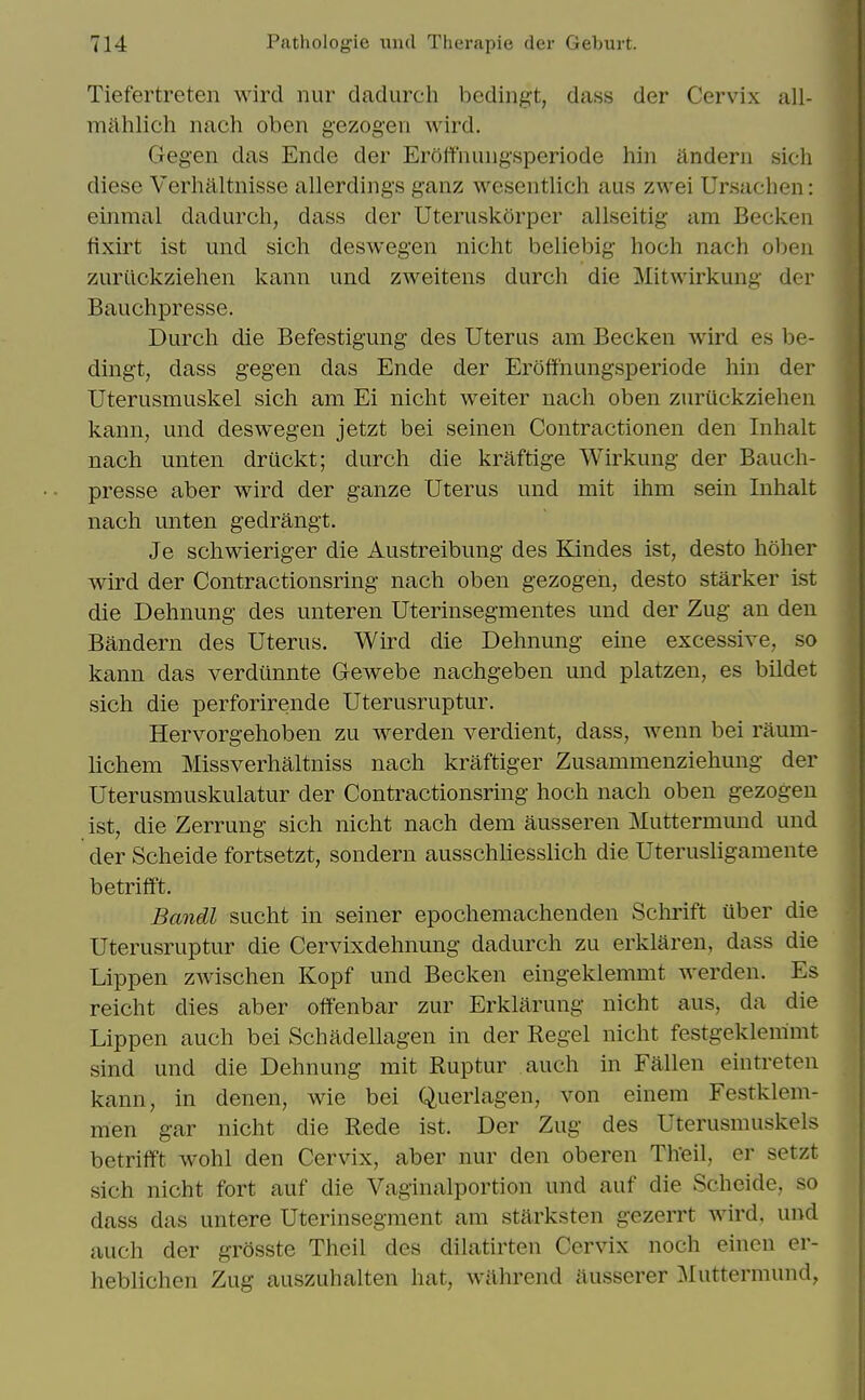 Tiefertreten wird nur dadurch bedingt, dass der Cervix all- mahlich nach oben gezogen wird, Gegen das Ende der Eroffniiiigsperiode hin andern sich diese Verhaltnisse allerdings ganz wesentlich aus zwei Ursachen: einmal dadurch, dass der Uteruskorper allseitig am Beckeii fixirt ist imd sich deswegen nicht beliebig hoch nach oben ziirilckziehen kann und zweitens durch die Mitwirkung der Bauchpresse. Durch die Befestigung des Uterus am Becken wird es be- dingt, dass gegen das Ende der Eroffnungsperiode hin der Uterusmuskel sich am Ei nicht weiter nach oben zuruckziehen kann, und deswegen jetzt bei seinen Contractionen den Inhalt nach unten druckt; durch die kraftige Wirkung der Bauch- presse aber wird der ganze Uterus und mit ihm sein Inhalt nach unten gedrangt. Je schwieriger die Austreibung des Kindes ist, desto hoher wird der Contractionsring nach oben gezogen, desto starker ist die Dehnung des unteren Uterinsegmentes und der Zug an den Bandern des Uterus. Wird die Dehnung eine excessive, so kann das verdunnte Gewebe nachgeben und platzen, es bildet sich die perforirende Uterusruptur. Hervorgehoben zu werden verdient, dass, wenn bei raum- lichem Missverhaltniss nach kraftiger Zusammenziehung der Uterusmuskulatur der Contractionsring hoch nach oben gezogen ist, die Zerrung sich nicht nach dem ausseren Muttermund und der Scheide fortsetzt, sondern ausschhesslich die Uterusligamente betrifft. Bandl sucht in seiner epochemachenden Sclirift iiber die Uterusruptur die Cervixdehnung dadurch zu erklaren, dass die Lippen zwischen Kopf und Becken eingeklemmt werden. Es reicht dies aber offenbar zur Erklarung nicht aus, da die Lippen auch bei Schadellagen in der Kegel nicht festgeklemmt sind und die Dehnung mit Ruptur auch in Fallen eintreten kann, in denen, wie bei Querlagen, von cinem Festklem- men gar nicht die Rede ist. Der Zug des Uterusmuskels betrifft wohl den Cervix, aber nur den oberen HVeil, or setzt sich nicht fort auf die Vaginalportion und auf die Scheide, so dass das untere Uterinsegment am starksten gezerrt Avird, und auch der grosste Theil des dihitirten Cervix noch eincn er- heblichen Zug auszuhalten hat, wahrend ausserer ^luttermund,