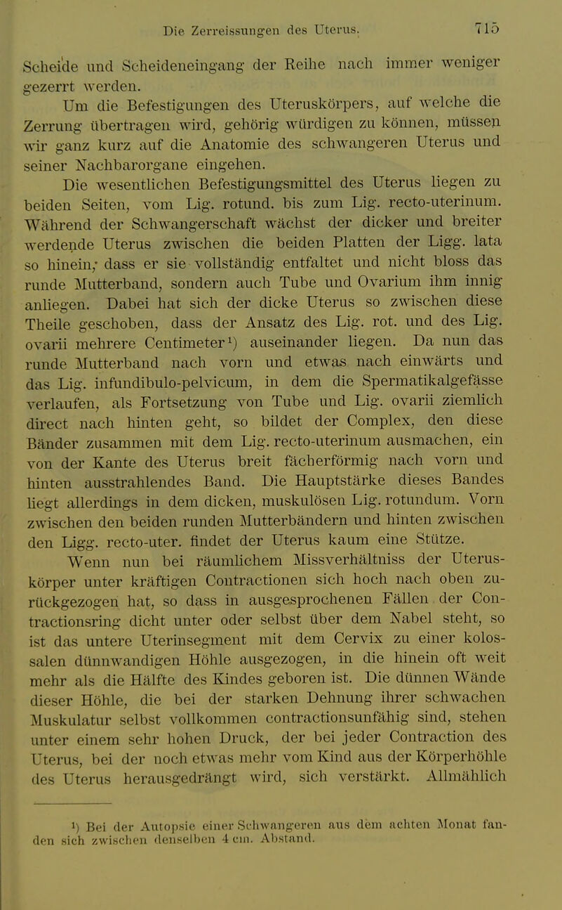 Schei'de unci Scheideiieingang- der Reihe nacli imraer weniger g-ezerrt werden. Urn die Befestigungen des Uteruskorpers, auf welche die Zerrimg itbertragen wird, gehorig wiirdigen zu konnen, musseji wir ganz kurz auf die Anatomie des schwangeren Uterus und seiner Nachbarorgane eingehen. Die wesentlichen Befestigungsmittel des Uterus liegen zu beiden Seiten, vom Lig. rotund, bis zum Lig. recto-uterinum. Wahrend der Schwangerschaft wachst der dicker und breiter werdende Uterus zwischen die beiden Flatten der Ligg. lata so hinein; dass er sie vollstandig entfaltet und nicht bloss das runde Mutterband, sondern audi Tube und Ovarium ihm innig anliegen. Dabei hat sich der dicke Uterus so zwischen diese Theile geschoben, dass der Ansatz des Lig. rot. und des Lig. ovarii mehrere Centimeter auseinander liegen. Da nun das runde Mutterband nach vorn und etwas nach einwarts und das Lig. infundibulo-pelvicum, in dem die Spermatikalgefasse verlaufen, als Fortsetzung von Tube und Lig. ovarii ziemlich direct nach hinten geht, so bildet der Complex, den diese Bander zusammen mit dem Lig. recto-uterinum ausmachen, ein von der Kante des Uterus breit facberformig nach vorn und hinten ausstrahlendes Band. Die Hauptstarke dieses Bandes hegt allerdings in dem dicken, muskulosen Lig. rotundum. Vorn zwischen den beiden runden Mutterbandern und hinten zwischen den Ligg. recto-uter. findet der Uterus kaum eine Stutze. Wenn nun bei raumhchem Missverhaltniss der Uterus- korper unter kraftigen Contractionen sich hoch nach oben zu- riickgezogen hat, so dass in ausgesprochenen Fallen der Con- tractionsring dicht unter oder selbst uber dem Nabel steht, so ist das untere Uterinsegment mit dem Cervix zu einer kolos- salen diinnw^andigen Hohle ausgezogen, in die hinein oft weit mehr als die Halfte des Kindes geboren ist. Die diinnen Wande dieser Hohle, die bei der starken Dehnung ihrer schwachen Muskulatur selbst vollkommen contractionsunfahig sind, stehen unter einem sehr hohen Druck, der bei jeder Contraction des Uterus, bei der noch etwas mehr vom Kind aus der Korperhohle des Uterus herausgedrangt wird, sich verstarkt. Allmahlich 1) Bei der Aiitop.sie einer Si'liwangeren aus dem achten Monat fan- den sich zwischen denselben 4 cin. Abstand.