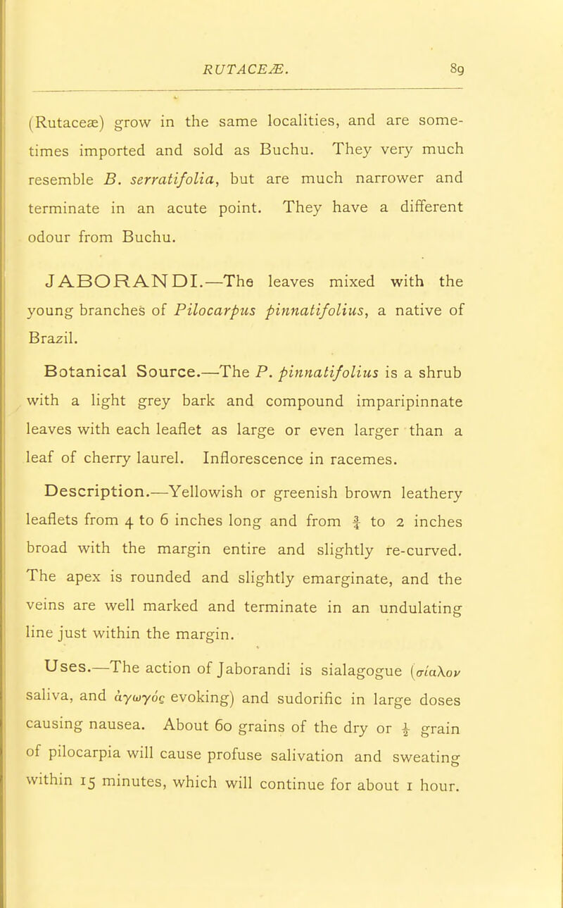 (Rutaceae) grow in the same localities, and are some- times imported and sold as Buchu. They very much resemble B. serratifolia, but are much narrower and terminate in an acute point. They have a different odour from Buchu. J ABO RAN DL— The leaves mixed with the young branches of Pilocarpus pinnatifolius, a native of Brazil. Botanical Source.—The P. pinnatifolius is a shrub with a light grey bark and compound imparipinnate leaves with each leaflet as large or even larger than a leaf of cherry laurel. Inflorescence in racemes. Description.—Yellowish or greenish brown leathery leaflets from 4 to 6 inches long and from f to 2 inches broad with the margin entire and slightly re-curved. The apex is rounded and slightly emarginate, and the veins are well marked and terminate in an undulating line just within the margin. Uses.—The action of Jaborandi is sialagogue (aiaXov saliva, and aywyog evoking) and sudorific in large doses causing nausea. About 60 grains of the dry or £ grain of pilocarpia will cause profuse salivation and sweating