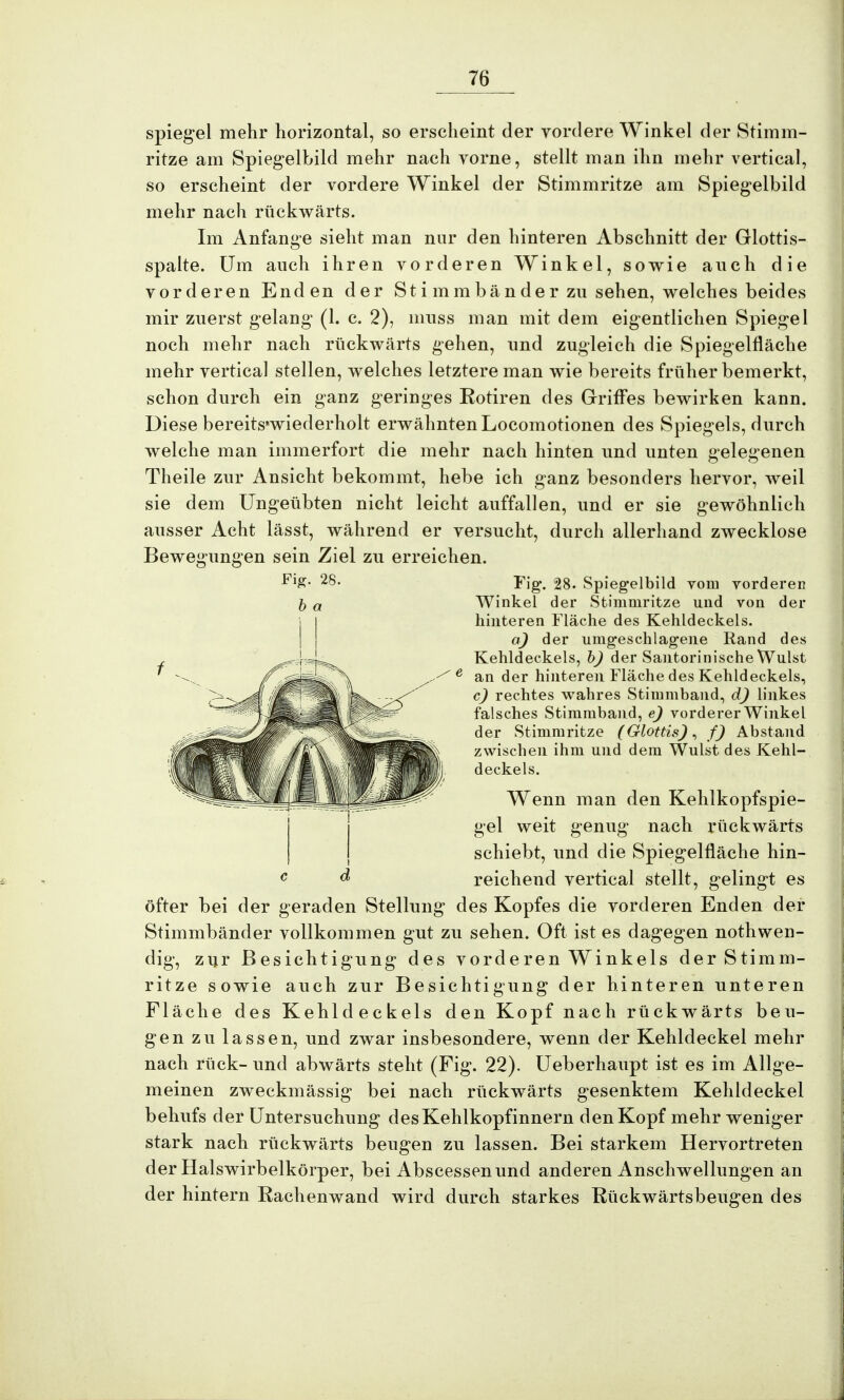 spiegel mehr horizontal, so erscheint der vordere Winkel der Stimm- ritze am Spiegelbild mehr nach vorne, stellt man ihn mehr vertical, so erscheint der vordere Winkel der Stimmritze am Spiegelbild mehr nach rückwärts. Im Anfange sieht man nur den hinteren Abschnitt der Glottis- spalte. Um auch ihren vorderen Winkel, sowie auch die vorderen Enden der St i mmbän der zu sehen, welches beides mir zuerst gelang (1. c. 2), muss man mit dem eigentlichen Spiegel noch mehr nach rückwärts gehen, und zugleich die Spiegelfläche mehr vertical stellen, welches letztere man wie bereits früher bemerkt, schon durch ein ganz geringes Kotiren des Griffes bewirken kann. Diese berehVvviederholt erwähnten Locomotionen des Spiegels, durch welche man immerfort die mehr nach hinten und unten gelegenen Theile zur Ansicht bekommt, hebe ich ganz besonders hervor, weil sie dem Ungeübten nicht leicht auffallen, und er sie gewöhnlich ausser Acht lässt, während er versucht, durch allerhand zwecklose Bewegungen sein Ziel zu erreichen. Fig. 28. Spiegelbild vom vorderen Winkel der Stimmritze und von der hinteren Fläche des Kehldeckels. a) der umgeschlagene Rand des Kehldeckels, b) der Santorinische Wulst . / e an der hinteren Fläche des Kehldeckels, c) rechtes wahres Stimmband, d) linkes falsches Stimmband, e) vorderer Winkel der Stimmritze (Glottis), f) Abstand zwischen ihm und dem Wulst des Kehl- deckels. Wenn man den Kehlkopfspie- gel weit genug nach rückwärts schiebt, und die Spiegelfläche hin- reichend vertical stellt, gelingt es öfter bei der geraden Stellung des Kopfes die vorderen Enden der Stimmbänder vollkommen gut zu sehen. Oft ist es dagegen nothweu- dig, zur Besichtigung des vorderen Winkels der Stimm- ritze sowie auch zur Besichtigung der hinteren unteren Fläche des Kehldeckels den Kopf nach rückwärts beu- gen zu lassen, und zwar insbesondere, wenn der Kehldeckel mehr nach rück- und abwärts steht (Fig. 22). Ueberhaupt ist es im Allge- meinen zweckmässig bei nach rückwärts gesenktem Kehldeckel behufs der Untersuchung des Kehlkopfinnern den Kopf mehr weniger stark nach rückwärts beugen zu lassen. Bei starkem Hervortreten der Halswirbelkörper, bei Abscessenund anderen Anschwellungen an der hintern Rachenwand wird durch starkes Rückwärtsbeugen des Fig. 28. b a c d