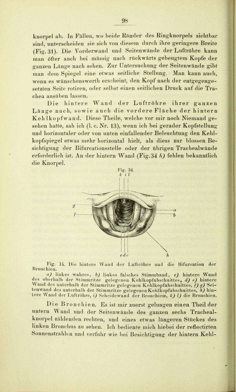 knorpel ab. In Fällen, wo beide Ränder des Ringknorpels sichtbar sind, unterscheiden sie sich von diesem durch ihre geringere Breite (Fig. 31). Die Vorderwand und Seitenwände der Luftröhre kann man öfter auch bei mässig nach rückwärts gebeugtem Kopfe der ganzen Länge nach sehen. Zur Untersuchung' der Seitenwände gibt man dem Spiegel eine etwas seitliche Stellung. Man kann auch, wenn es wiinschenswerth erscheint, den Kopf nach der entgegenge- setzten Seite rotiren, oder selbst einen seitlichen Druck auf die Tra- chea ausüben lassen. Die hintere Wand der Luftröhre ihrer ganzen Länge nach, sowie auch die vordere Fläche der hintern Kehlkopfwand. Diese Theile, welche vor mir noch Niemand ge- sehen hatte, sah ich (1. c. Nr. 13), wenn ich bei gerader Kopfstellung und horizontaler oder von unten einfallender Beleuchtung den Kehl- kopfspiegel etwas mehr horizontal hielt, als diess zur blossen Be- sichtigung der Bifurcationsstelle oder der übrigen Trachealwände erforderlich ist. An der hintern Wand (Fig*. 34 h) fehlen bekanntlich die Knorpel. Fig. 34. k i l edc h Fig. 34. Die hintere Wand der Luftröhre und die Bifurcation der Bronchien. a) linkes wahres, b) linkes falsches Stimmband, c) hintere Wand des oberhalb der Stimmritze gelegenen Kehlkopfabschnittes, d) e) hintere Wand des unterhalb der Stimmritze gelegenen Kehlkopfabschnittes, f) g) Sei- tenwand des unterhalb der Stimmritze gelegenen Kehlkopfabschnittes, h) hin- tere Wand der Luftröhre, i) Scheidewand der Bronchien?, k) l) die Bronchien. Di e B ronchie n. Es ist mir zuerst gelungen einen Theil der untern Wand und der Seitenwände des ganzen sechs Tracheal- knorpel zählenden rechten, und eines etwas längeren Stückes des linken Bronchus zu sehen. Ich bediente mich hiebei der reflectirten Sonnenstrahlen und verfuhr wie bei Besichtigung der hintern Kehl-