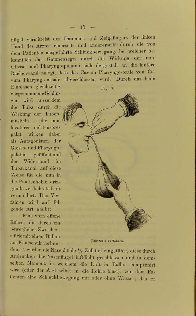 flügel vermittelst des Daumens und Zeigefingers der linken Hand des Arztes einerseits und andererseits durch die von dem Patienten ausgeführte Schluckbewegung, bei welcher be- kanntlich das Gaumensegel durch die Wirkung der mm. Glosse- und Pharyngo-palatini sich dergestalt an die hintere Rachenwand anlegt, dass das Cavum Pharyngo-orale vom Ca- vum Pharyngo-nasale abgeschlossen wird. Durch das beim Einblasen gleichzeitig ^ig. 3. vorgenommene Schlin- gen wird ausserdem die Tuba durch die Wirkung der Tuben- muskeln — die mm. levatores und tensores palat. wirken dabei als Antagonisten der Glosse- und Pharyngo- palatini — geöffnet und der Widerstand im Tubarkanal auf diese Weise für die nun in die Paukenhöhle drin- gende verdichtete Luft vermindert. Das Ver- fahren wird auf fol- gende Art geübt: Eine vorn offene Röhre, die durch ein bewegliches Zwischen- stück mit einem Ballon aus Kautschuk verbun- den ist, wird in die Nasenhöhle % Zoll tief eingeführt, diese durch Andrücken der Nasenflügel luftdicht geschlossen und in dem- selben Moment, in welchem die Luft im Ballon comprimirt wird (oder der Arzt selbst in die Röhre bläst), von dem Pa- tienten eine Schluckbewegung mit oder ohne Wasser, das er Politzer's Verfahren.