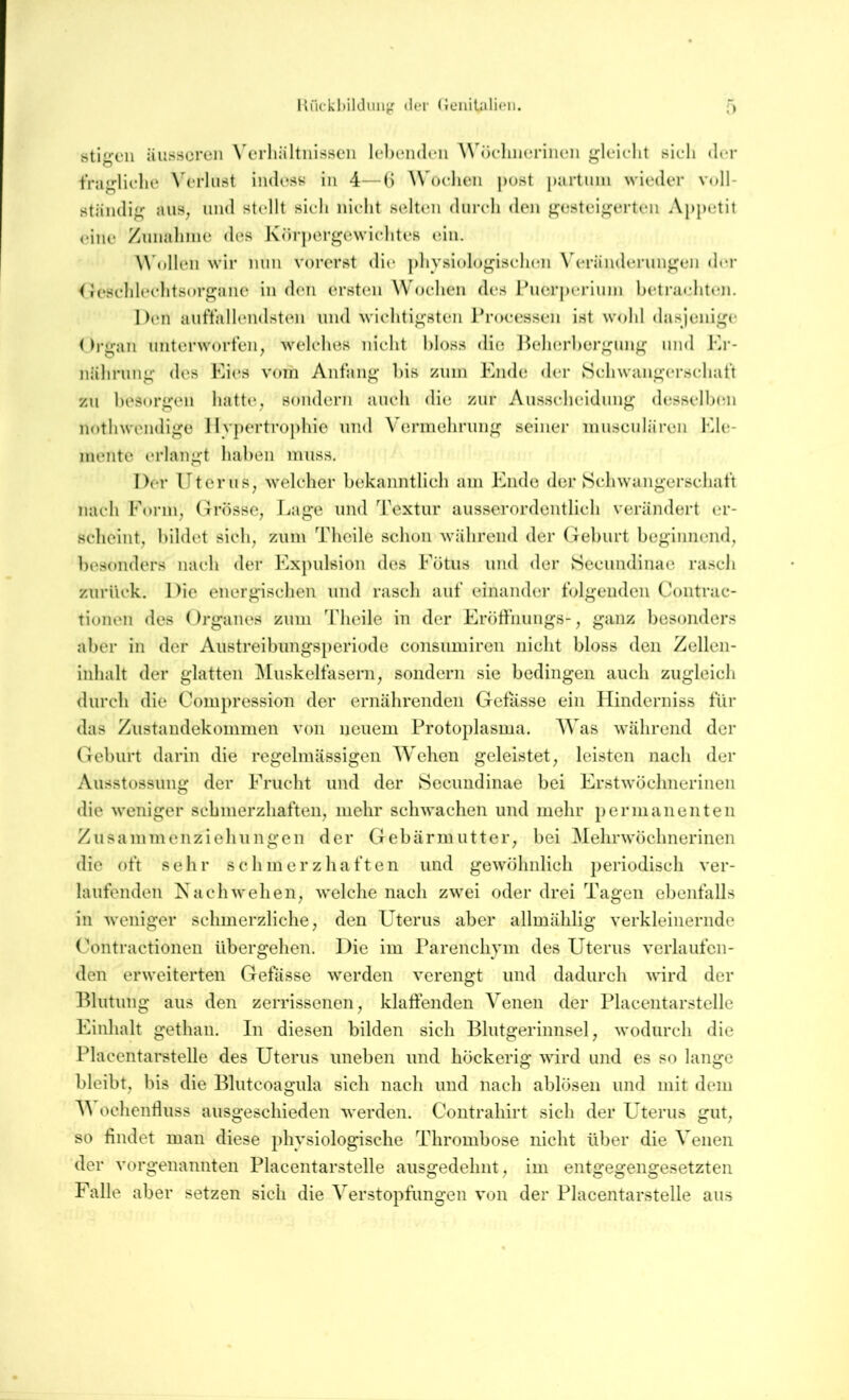 stigeii äusseren \erliältiiisscn lel)endeii AN'öcliiieriiieii gleicdit sieh der iVagliehe \h‘rliist indess in 4—(i ^\h)ellen post partinn wieder voll- ständig aiis^ und stellt sieh nieht selUni dureh den gesteigerten Appetit (Miie Zunahme des K<)rpergewiehte8 ein. W'ollen wir nun vorerst die ])hysiologiseh(;n \eränderungen dm- <lesehleehtsorganc in den ersten Woehen des Puerj)erium hetraehttai. Den aiitVallendsten und wiehtigsten Proeessen ist wohl dasjenige ()j-gan Unterworten, welehes nieht hloss die Ikdierhergung und Kr- nährung des Kii*s vom Anfang bis zum Ende der Sehwangersehaft zu hesorgen hatte, sondern aueh die zur Ausseheidung desselh(m nothwendige Hypertrophie un<l Vermehrung seiner museulären Fde- mente erlangt hahen muss. Der Uterus, weleher bekanntlieh am Ende der Sehwangersehaft naeh Form, (U-össe, r.<age und Textur ausserordentlieh verändert er- scheint, bildet sieh, zum Theile schon während der Geburt beginnend, besonders naeh der Expulsion des Fötus und der {Seeiindinac rasch zurück. Die energischen und rasch auf einander folgenden Contrac- tionen des (Irganes zum Theile in der Eröffnungs-, ganz besonders aber in der Austreibimgsperiode consumireu nicht bloss den Zellen- inhalt der glatten Muskelfasern, sondern sie bedingen auch zugleich durch die Compression der ernährenden Getasse ein Hinderniss für das Zustandekommen von neuem Protoplasma. AVas während der Geburt darin die regelmässigen AVehen geleistet, leisten nach der Ausstossung der Frucht und der Secundinae bei Erstwöchnerinen die weniger schmerzhaften, mehr schwachen und mehr permanenten Zusammen Ziehungen der Gebärmutter, bei Alehrwöchnerinen die oft sehr schmerzhaften und gewöhnlich periodisch ver- laufenden Nach wehen, welche nach zwei oder drei Tagen ebenfalls in weniger schmerzliche, den Uterus aber allmählig verkleinernde Contractionen übergehen. Die im Parenchym des Uterus verlaufen- den erweiterten Gefässe werden verengt und dadurch wird der Ulutung aus den zerrissenen, klatfenden Arenen der Placentarstelle Einhalt gethan. In diesen bilden sich Blutgerinnsel, wodurch die Placentarstelle des Uterus uneben und höckerig wird und es so lange bleibt, bis die Blutcoagula sich nach und nach ablösen und mit dem A^’ ochentluss ausgeschieden werden. Contrahirt sich der Uterus gut, so findet man diese physiologische Thrombose nicht über die Arenen der vorgenannten Placentarstelle ausgedehnt, im entgegengesetzten Falle aber setzen sich die A^erstopfungen von der Placentarstelle aus