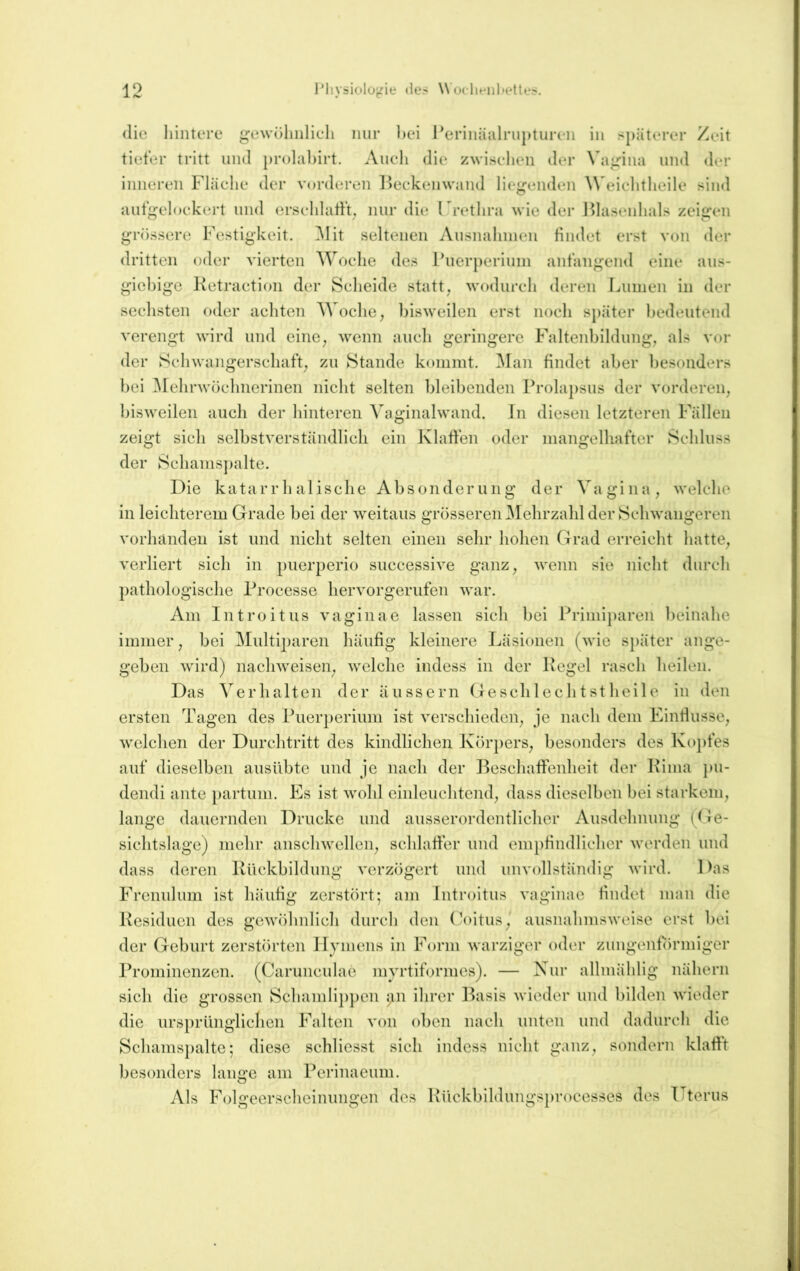 die hintere gewoliiilieli nur hei Perinäalrupturen in spaterer Zeit tiefer tritt und prolahirt. Auch die zwisehen der Vagina und <ler inneren Fläche der vorderen Feekenwand liegenden \Wdehtheile sind aiifgeloekert und ersehlatft, nur di(^ Frethra wie der Hlaseiiluils zeigen grössere Festigkeit, ^lit seltenen Ausnahmen Hndet erst von der dritten oder vierten Woche des Fuer})eriuin anfangend eine aus- giebige Ketraction der Scheide statt, wodurch deren Lumen in der sechsten oder achten Woche, ])isweilen erst noch später hedeutend verengt wird und eine, wenn auch geringere Falteidjildung, als vor der Schwangerschaft, zu Stande kommt. Man findet aber besonders bei ^lehrwöchnerinen nicht selten bleibenden Prolapsus der vorderen, bisweilen auch der hinteren Vaginalwand. Jn diesen letzteren Fällen zeigt sich selbstverständlich ein Klaffen oder mangelhafter Schluss der Schams])alte. Die katarrhalische Absonderung der Vagina, welche in leichterem Grade bei der weitaus grösseren IMebrzahl der Schwangeren vorhanden ist und nicht selten einen sehr hohen Grad erreicht hatte, verliert sich in puerperio successive ganz, wenn sie nicht durch ])athologische Processe hervorgerufen war. Am Introitus vaginae lassen sich bei Prinii})aren l)einahe immer, bei Multiparen häufig kleinere Läsionen (wie s})äter ange- geben wird) nachweisen, welche indess in der Kegel rasch heilen. Das Verhalten der äussern Geschlecht st heile in den ersten Tagen des Puerperium ist verschieden, je nach dem Einflüsse, welchen der Durchtritt des kindlichen Kör})ers, besonders des Ko})fes auf dieselben ausübte und je nach der Beschaffenheit der Kima j)u- dendi ante partum. Es ist wohl einleuchtend, dass dieselben bei starkem, lange dauernden Drucke und ausserordentlicher Ausdehnung (De- sichtslage) mehr anschwellcn, schlatfer und empfindlicher werden und dass deren Kückbildung verzögert und unvollständig wird. Das Frenulum ist häutig zerstört; am Introitus vaginae tindet man die Kesiducn des gewöhnlich durch den (’oitus, ausnahmsweise erst bei der Geburt zerstörten Hymens in Form warziger oder zungentörmiger Prominenzen. (Carunculae myrtiformes). — Nur allmählig nähern sich die grossen Schamlij)])en an ihrer Basis wieder und bilden wieder die ursprünglichen Falten von oben nach unten und dadurcli die Schamspalte; diese schlic.sst sich indess nicht ganz, sondern klaftt besonders lange am Perinaeum. Als Folgeersclicinungen des Kückbildungsprocesses des Uterus