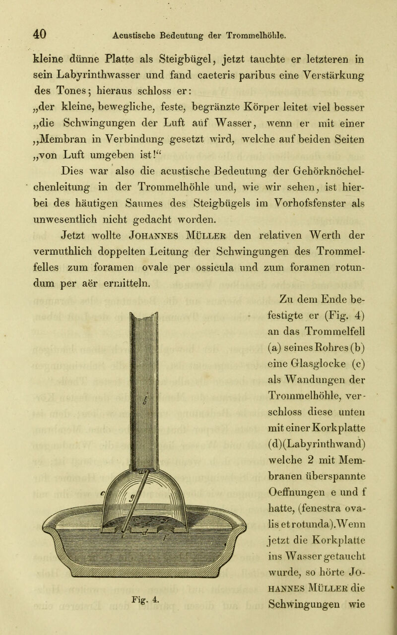 kleine dünne Platte als Steigbügel, jetzt tauchte er letzteren in sein Labyrinthwasser und fand caeteris paribus eine Verstärkung des Tones; hieraus schloss er: „der kleine, bewegliche, feste, begränzte Körper leitet viel besser „die Schwingungen der Luft auf Wasser, wenn er mit einer ,,Membran in Verbindimg gesetzt wird, Avelche auf beiden Seiten „von Luft umgeben ist!^^ Dies war also die acustische Bedeutung der Gehörknöchel- chenleitung in der Trommelhöhle und, wie wir sehen, ist hier- bei des häutigen Saumes des Steigbügels im Vorhofsfenster als unwesentlich nicht gedacht worden. Jetzt wollte Johannes Müller den relativen Werth der vermuthlich doppelten Leitung der Schwingungen des Trommel- felles zum foramen ovale per ossicula und zum foramen rotun- dum per aer ermitteln. Zu dem Ende be- festigte er (Fig. 4) an das Trommelfell (a) seines Rohres (b) eine Glasglocke (c) als Wandungen der Trommelhöhle, ver- schloss diese unten mit einer Korkplatte (d) (Labyrinthwand) welche 2 mit Mem- branen überspannte Oeffnungen e und f hatte, (fenestra ova- lis etrotunda).Wenn jetzt die Korkplatte ins Wasser getaucht wurde, so hörte Jo- hannes Müller die Schwingungen wie