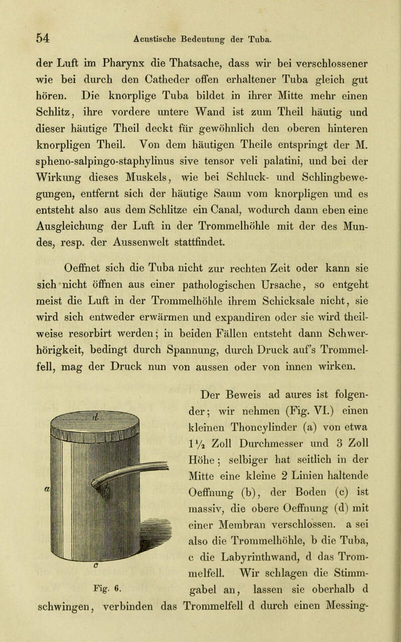 der Luft im Pharynx die Thatsache, dass wir bei verschlossener wie bei durch den Catheder offen erhaltener Tuba gleich gut hören. Die knorplige Tuba bildet in ihrer Mitte mehr einen Schlitz, ihre vordere untere Wand ist zum Theil häutig und dieser häutige Theil deckt für gewöhnlich den oberen hinteren knorpligen Theil. Von dem häutigen Theile entspringt der M. spheno-salpingo-staphylinus sive tensor veli palatini, und bei der Wirkung dieses Muskels, wie bei Schluck- und Schlingbewe- gungen, entfernt sich der häutige Saum vom knorpligen und es entsteht also aus dem Schlitze ein Canal, wodurch dann eben eine Ausgleichung der Luft in der Trommelhöhle mit der des Mun- des, resp. der Aussenwelt stattfindet. Oeffiiet sich die Tuba nicht zur rechten Zeit oder kann sie sich nicht öffnen aus einer pathologischen Ursache, so entgeht meist die Luft in der Trommelhöhle ihrem Schicksale nicht, sie wird sich entweder erwärmen und expandiren oder sie wird theil- weise resorbirt werden; in beiden Fällen entsteht dann Schwer- hörigkeit, bedingt durch Spannung, durch Druck aufs Trommel- fell, mag der Druck nun von aussen oder von innen wirken. Der Beweis ad aures ist folgen- der; wir nehmen (Fig. VI.) einen kleinen Thoncylinder (a) von etwa IV2 Zoll Durchmesser und 3 Zoll Höhe 5 selbiger hat seitlich in der Mitte eine kleine 2 Linien haltende Oeffnung (b), der Boden (c) ist massiv, die obere Oeffnung (d) mit einer Membran verschlossen, a sei also die Trommelhöhle, b die Tuba, c die Labyrinthwand, d das Trom- melfell. Wir schlagen die Stimm- Fig. 6. gabel an, lassen sie oberhalb d schwingen, verbinden das Trommelfell d durch einen Messing-