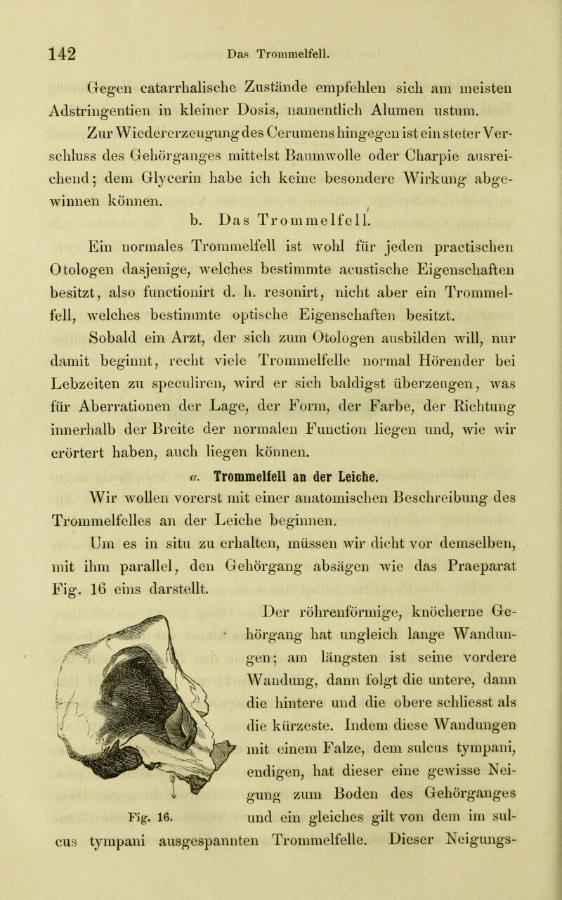 Gegen catarrhalisclie Zustände empfehlen sich am meisten Adstringentien in kleiner Dosis, namentlich Almnen ustmii. Zur Wiedererzeugung des Cerumens hingegen ist ein steter Ver- schluss des Gehörganges mittelst Baumwolle oder Charpie ausrei- chend *, dem Glycerin habe ich keine besondere Wirkung abge- winnen können. b. Das Trommelfell. Ein normales Trommelfell ist wohl für jeden practischen Otologen dasjenige, w^elches bestimmte acustische Eigenschaften besitzt, also functionirt d. h. resonirt, nicht aber ein Trommel- fell, welches bestimmte optische Eigenschaften besitzt. Sobald ein Arzt, der sich zum Otologen ausbilden will, nur damit beginnt, recht viele Trommelfelle normal Hörender bei Lebzeiten zu speculiren, wird er sich baldigst überzeugen, was für Aberrationen der Lage, der Form, der Farbe, der Richtung innerhalb der Breite der normalen Function liegen und, wie v,dr erörtert haben, auch liegen können. a. Trommelfell an der Leiche. Wir wollen vorerst mit einer anatomischen Beschreibung des Trommelfelles an der Leiche beginnen. Um es in situ zu erhalten, müssen wir dicht vor demselben, mit ihm parallel, den Gehörgang absägen wie das Praeparat Fig. 16 eins darstellt. Der röhrenförmige, knöcherne Ge- hörgang hat ungleich lange Wandun- gen; am längsten ist seine vordere Wandimg, dann folgt die untere, dann die hintere und die obere schliesst als die kürzeste. Lidern diese Wandungen mit einem Falze, dem sulcus tympani, endigen, hat dieser eine gewisse Nei- gung zum Boden des Gehörganges und ein gleiches gilt von dem im sul- cus tympani ausgespannten Trommelfelle. Dieser Neigungs- Fig. 16.