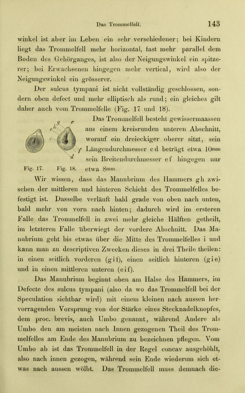 winkel ist aber im Leben ein sehr verschiedener; bei Kindern liegt das Troinmelfell mehr horizontal, fast mehr parallel dem Boden des Gehörganges, ist also der Neigungswinkel ein spitze- rer; bei Erwachsenen hingegen mehr vertical, wird also der Neigungswinkel ein grösserer. Der sulcus tympani ist nicht vollständig geschlossen, son- dern oben defect und mehr elliptisch als rund; ein gleiches gilt daher auch vom Trommelfelle (Fig. 17 und 18). ^ Das Trommelfell besteht gewissermaassen ^ ^^^^ aus einem kreisrunden unteren Abschnitt^ ^^^P worauf ein dreieckiger oberer sitzt, sein ^^^r-y Längendurchmesser cd beträgt etwa 10mm sein Breitendurchmesser e f hingegen nur Fig. 17. Fig. 18. etwa 8mm. Wir wissen, dass das Manubrium des Hammers gh zwi- schen der mittleren und hinteren Schicht des Trommelfelles be- festigt ist. Dasselbe verläuft bald grade von oben nach unten, bald mehr von vorn nach hinten; dadurch wird im ersteren Falle das Trommelfell in zwei mehr gleiche Hälften getheilt, im letzteren Falle überwiegt der vordere Abschnitt. Das Ma- nubrium geht bis etwas über die Mitte des Trommelfelles i und kann man zu descriptiven Zwecken dieses in drei Theile theilen: in einen seitlich vorderen (gil), einen seitlich hinteren (gie) und in einen mittleren unteren (eif). Das Manubrium beginnt oben am Halse des Hammers, im Defecte des sulcus tympani (also da wo das Trommelfell bei der Speculation sichtbar wird) mit einem kleinen nach aussen her- vorragenden Vorsprung von der Stärke eines Stecknadelknopfes, dem proc. brevis, auch Umbo genannt, während Andere als Umbo den am meisten nach Innen gezogenen Theil des Trom- melfelles am Ende des Manubrium zu bezeichnen pflegen. Vom Umbo ab ist das Trommelfell in der Regel concav ausgehöhlt, also nach innen gezogen, während sein Ende wiederum sich et- was nach aussen AVÖlbt. Das Trommelfell muss demnach die-