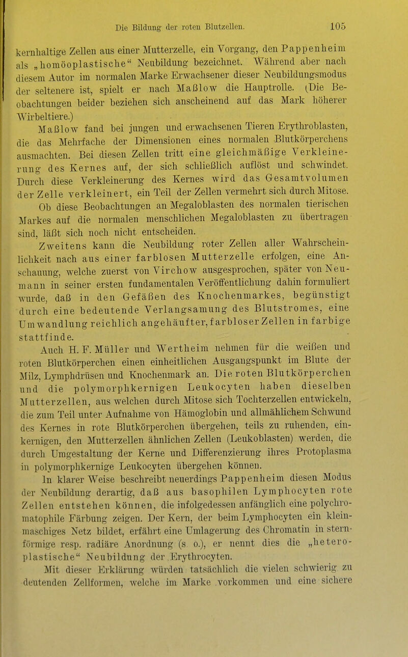 kernhaltige Zellen aus einer Mutterzelle, ein Vorgang, den Pappenheim als „liomöoplastische Neubildung bezeichnet. Während aber nach diesem Autor im normalen Marke Erwachsener dieser Neubildungsmodus der seltenere ist, spielt er nach Maßlow die Hauptrolle. (Die Be- obachtungen beider beziehen sich anscheinend auf das Mark höherer Wirbeltiere.) Maßlow fand bei jungen und erwachsenen Tieren Erythi^oblasten, die das Mehrfache der Dimensionen eines normalen Blutkörperchens ausmachten. Bei diesen ZeUen tritt eine gleichmäßige Verkleine- rung des Kernes auf, der sich schließlich auflöst und schwindet. Durch diese Verkleinerung des Kernes wird das Gesamtvolumen der Zelle verkleinert, ein Teil der Zellen vermehrt sich durch Mitose. Ob diese Beobachtungen an Megaloblasten des normalen tierischen Markes auf die normalen menschlichen Megaloblasten zu übertragen sind, läßt sich noch nicht entscheiden. Zweitens kann die Neubildung roter Zellen aller Wahrschein- lichkeit nach aus einer farblosen Mutterzelle erfolgen, eine An- schauung, welche zuerst von Virchow ausgesprochen, später von Neu- mann in seiner ersten fundamentalen Veröffentlichung dahin formuliert wurde, daß in den Gefäßen des Knochenmarkes, begünstigt durch eine bedeutende Verlangsamung des Blutstromes, eine Umwandlung reichlich angehäufter,f arbloser Zellen in farbige stattfinde. Auch H. F. Müller und Wertheim nehmen flir die weißen und roten Blutkörperchen einen einheitlichen Ausgangspunkt im Blute der Milz, Lymphdrüsen und Knochenmark an. DierotenBlutkörperchen und die polymorphkernigen Leukocyten haben dieselben ]\rutterzellen, aus welchen durch Mitose sich Tochterzellen entwickeln, die zum Teil unter Aufnahme von Hämoglobin und allmählichem Schwund des Kernes in rote Blutkörperchen übergehen, teils zu ruhenden, ein- kernigen, den Mutterzellen ähnlichen Zellen (Leukoblasten) werden, die durch Umgestaltung der Kerne und Differenzierung ihres Protoplasma in polymorphkernige Leukocyten übergehen können. In klarer Weise beschreibt neuerdings Pappenheim diesen Modus der Neubildung derartig, daß aus basophilen Lymphocyten rote Zellen entstehen können, die infolgedessen anfänglich eine polychro- matophile Färbung zeigen. Der Kern, der beim Lympliocyten ein klein- maschiges Netz bildet, erfährt eine Umlagerung des Chromatin in stern- förmige resp. radiäre Anordnung (s, o.), er nennt dies die „hetero- plastische Neubildung der Erythrocyten. Mit dieser Erklärung würden tatsächlich die vielen schwierig zu deutenden Zellformen, welche im Marke vorkommen und eine sichere