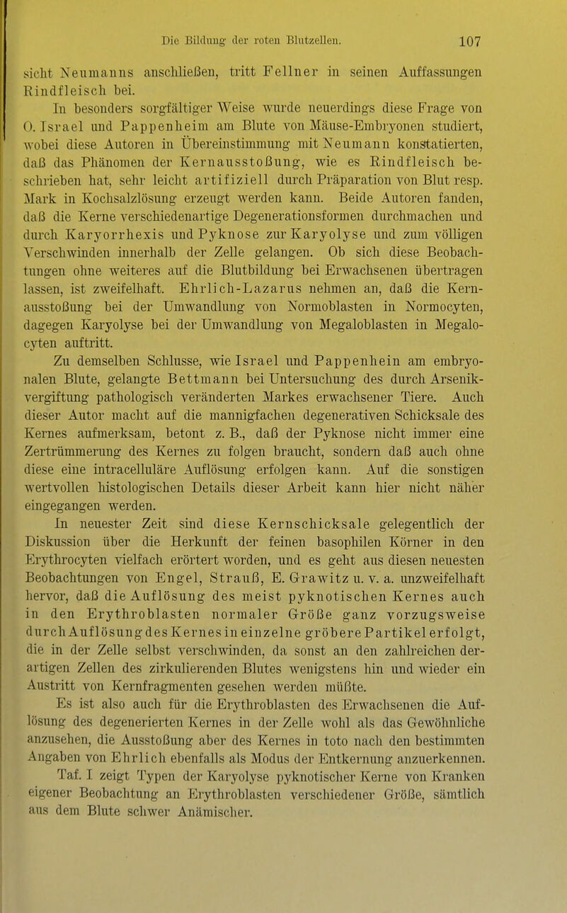 sieht Neumauns anschließen, tritt Fellner in seinen Auffassungen Rindfleisch bei. In besonders sorgfältiger Weise wurde neuerdings diese Frage von 0. Israel und Pappenheim am Blute von Mäuse-Embryonen studiert, wobei diese Autoren in Übereinstimmung mit Neumann konstatierten, daß das Phänomen der Kernausstoßung, wie es Rindfleisch be- schrieben hat, sehr leicht artifiziell durch Präparation von Blut resp. Mark in Kochsalzlösung erzeugt werden kann. Beide Autoren fanden, daß die Kerne verschiedenartige Degenerationsformen durchmachen und durch Karyorrhexis undPyknose zurKaryolyse und zum völligen Verschwinden innerhalb der Zelle gelangen. Ob sich diese Beobach- tungen ohne weiteres auf die Blutbildung bei Erwachsenen übertragen lassen, ist zweifelhaft. Ehrlich-Lazarus nehmen an, daß die Kern- ausstoßung bei der Umwandlung von Nornioblasten in Normocyten, dagegen Karyolyse bei der Umwandlung von Megaloblasten in Megalo- cyten auftritt. Zu demselben Schlüsse, wie Israel und Pappenhein am embryo- nalen Blute, gelangte Bettmann bei Untersuchung des durch Arsenik- vergiftung pathologisch veränderten Markes erwachsener Tiere. Auch dieser Autor macht auf die mannigfachen degenerativen Schicksale des Kernes aufmerksam, betont z. B., daß der Pyknose nicht immer eine Zertrümmerung des Kernes zu folgen braucht, sondern daß auch ohne diese eine intracelluläre Auflösung erfolgen kann. Auf die sonstigen wertvollen histologischen Details dieser Arbeit kann hier nicht näher eingegangen werden. In neuester Zeit sind diese Kernschicksale gelegentlich der Diskussion über die Herkunft der feinen basophilen Körner in den Erythrocyten vielfach erörtert worden, und es geht aus diesen neuesten Beobachtungen von Engel, Strauß, E. Grawitz u. v. a. unzweifelhaft hervor, daß die Auflösung des meist pyknotischen Kernes auch in den Erythroblasten normaler Größe ganz vorzugsweise durch Auflösung des Kernes in einzelne gröbere Partikel erfolgt, die in der Zelle selbst verschwinden, da sonst an den zahlreichen der- artigen Zellen des zirkulierenden Blutes wenigstens hin und wieder ein Austritt von Kernfragmenten gesehen werden müßte. Es ist also auch für die Erythroblasten des Erwachsenen die Auf- lösung des degenerierten Kernes in der Zelle wohl als das Gewöhnliche anzusehen, die Ausstoßung aber des Kernes in toto nach den bestimmten Angaben von Ehrlich ebenfalls als Modus der Entkernung anzuerkennen. Taf. I zeigt Typen der Karyolyse pyknotischer Kerne von Kranken eigener Beobachtung an Erythroblasten verschiedener Größe, sämtlich aus dem Blute schwer Anämischer,