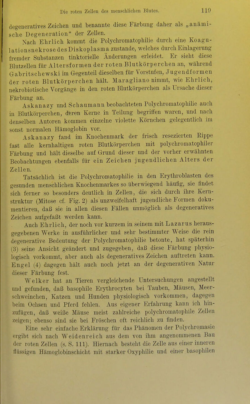 degeiieratives Zeiclien und benannte diese Färbung daher als „anämi- sche Degeneration der Zellen. Nach Ehrlich kommt die Polychromatophilie durch eine Koagu- lationsnekrosedesDiskoplasma zustande, welches durch Einlagerung fremder Substanzen tinktorielle Änderungen erleidet. Er sieht diese Blntzellen für Altersformen der roten Blutkörperchen an, während Gabritschewski im Gegenteil dieselben für Vorstufen, Jugendformen der roten Blutkörperchen hält. Maragliano nimmt, wie Ehrlich, nekrobiotische Vorgänge in den roten Blutkörperchen als Ursache dieser Färbung an. Askanazy und Schaumann beobachteten Polychromatophilie auch in Blutkörperchen, deren Kerne in Teilung begriffen waren, und nach denselben Autoren kommen einzelne violette Körnchen gelegentlich im sonst normalen Hämoglobin vor. Askanazy fand im Knochenmark der frisch resezierten Rippe fast alle kernhaltigen roten Blutkörperchen mit polychromatophiler Färbung und hält dieselbe auf Grund dieser und der vorher erwähnten Beobachtungen ebenfalls für ein Zeichen jugendlichen Alters der Zellen. Tatsächlich ist die Polychromatophilie in den Erythroblasten des gesunden menschlichen Knochenmarkes so überwiegend häufig, sie findet sich ferner so besonders deutlich in Zellen, die sich duixh ihre Kern- struktur (Mitose cf. Fig. 2) als unzweifelhaft jugendliche Formen doku- mentieren, daß sie in allen diesen Fällen unmöglich als degeneratives Zeichen aufgefaßt werden kann. Auch Ehrlich, der noch vor kurzem in seinem mit Lazarus heraus- gegebenen Werke in ausführlicher und sehr bestimmter Weise die rein degenerative Bedeutung der Polychromatophilie betonte, hat späterhin (3) seine Ansicht geändert und zugegeben, daß diese Färbung physio- logisch vorkommt, aber auch als degeneratives Zeichen auftreten kann. Engel (4) dagegen hält auch noch jetzt an der degenerativen Natur dieser Färbung fest. Welker hat an Tieren vergleichende Untersuchungen angestellt und gefunden, daß basophile Erythrocyten bei Tauben, Mäusen, Meer- schweinchen, Katzen und Hunden physiologisch vorkommen, dagegen beim Ochsen und Pferd fehlen. Aus eigener Erfahrung kann ich hin- zufügen, daß weiße Mäuse meist zahlreiche polychromatophile Zellen zeigen; ebenso sind sie bei Fröschen oft reichlich zu finden. Eine sehr einfache Erklärung für das Phänomen der Polychromasie ergibt sich nach Weidenreich aus dem von ihm angenommenen Bau der roten Zellen (s. S. III). Hiernach besteht die Zelle aus einer inneren flüssigen Hämoglobin schiebt mit starker Oxyphilie und einer basophilen