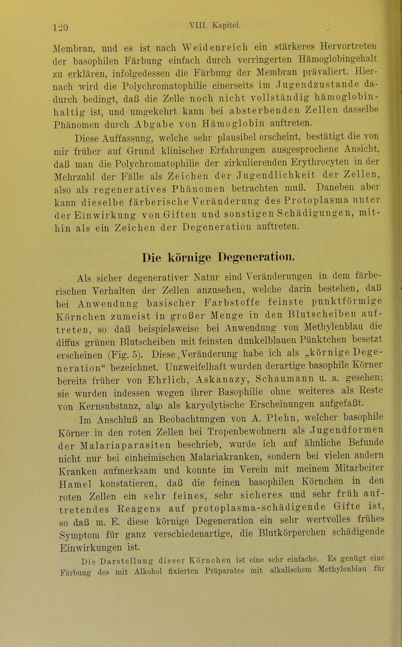 Membran, und es ist nach Weidenreicli ein stärkeres Hervortreten der basophilen Färbung einfach durch verringerten Hämoglobingehalt zu erklären, infolgedessen die Färbung der Membran prävaliert. Hier- nach wird die Polychromatophilie einerseits im Jugendzustande da- duixh bedingt, daß die Zelle noch nicht vollständig hämoglobin- haltig ist, und umgekehrt kann bei absterbenden Zellen dasselbe Phänomen durch Abgabe von Hämoglobin auftreten. Diese Auffassung, welche sehr plausibel erscheint, bestätigt die von mir früher auf Grund klinischer Erfahrungen ausgesprochene Ansicht, daß man die Polychromatophilie der zirkulierenden Erythrocyten in der Mehrzahl der Fälle als Zeichen der Jugendlichkeit der Zellen, also als regeneratives Phänomen betrachten muß. Daneben aber kann dieselbe färberische Veränderung des Protoplasma unter der Einwirkung von Giften und sonstigen Schädigungen, mit- hin als ein Zeichen der Degeneration auftreten. Die körnige Degeneration. Als sicher degenerativer Natur sind Veränderungen in dem färbe- rischen Verhalten der Zellen anzusehen, welche darin bestehen, daß bei Anwendung basischer Farbstoffe feinste punktförmige Körnchen zumeist in großer Menge in den Blutscheiben auf- treten, so daß beispielsweise bei Anwendung von Methylenblau die diffus grünen Blutscheiben mit feinsten dunkelblauen Pünktchen besetzt erscheinen (Fig. 5). Diese .Veränderung habe ich als „körnige Dege- neration bezeichnet. Unzweifelhaft wurden derartige basophile Körner bereits früher von Ehrlich, Askanazy, Schaumann u. a. gesehen; sie wui^den indessen wegen ihrer Basophilie ohne weiteres als Reste von Kernsubstanz, al^ als karyolytische Erscheinungen aufgefaßt. Im Anschluß an Beobachtungen von A. Plehn, welcher basophile Körner in den roten Zellen bei Tropenbewohnern als Jugendformen der Malariaparasiten beschrieb, wurde ich auf ähnliche Befunde nicht nur bei einheimischen Malariakrankeu, sondern bei vielen andern Kranken aufmerksam und konnte im Verein mit meinem Mitarbeiter Hamel konstatieren, daß die feinen basophilen Körnchen iu den roten Zellen ein sehr feines, sehr sicheres und sehr früh auf- tretendes Reagens auf protoplasma-schädigende Gifte ist, so daß m. E. diese körnige Degeneration ein sehr wertvolles frühes Symptom für ganz verschiedenartige, die Blutkörperchen schädigende Einwirkungen ist. Die Darstellung dieser Körncheu ist eine sehr einfache. Es genügt eine Färbimg des mit Alkohol fixierten Präparates mit alkalischem Methylenblau für