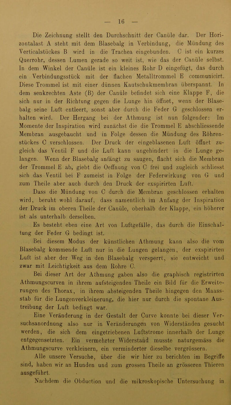 Die Zeichnung stellt den Durchschnitt der Canüle dar. Der Hori- zontalast A steht mit dem Blasebalg in Verbindung, die Mündung des Verticalstückes B wird in die Trachea eingebunden. C ist ein kurzes Querrohr, dessen Lumen gerade so weit ist, wie das der Canüle selbst. In dem Winkel der Canüle ist ein kleines Rohr D eingefügt, das durch ein Verbindungsstück mit der flachen Metalltrommel E communicirt. Diese Trommel ist mit einer dünnen Kautschukmembran überspannt. In dem senkrechten Aste (B) der Canüle befindet sich eine Klappe F, die sich nur in der Richtung gegen die Lunge hin öffnet, wenn der Blase- balg seine Luft entleert, sonst aber durch die Feder G geschlossen er- halten wird. Der Hergang bei der Athmung ist nun folgender: Im Momente der Inspiration wird zunächst die die Trommel E abschliessende Membran ausgebaucht und in Folge dessen die Mündung des Röhren- stückes C verschlossen. Der Druck der eingeblasenen Luft öffnet zu- gleich das Ventil F und die Luft kann ungehindert in die Lunge ge- langen. Wenn der Blasebalg anfängt zu saugen, flacht sich die Membran der Trommel E ab, giebt die Oeffnung von C frei und zugleich schliesst sich das Ventil bei F zumeist in Folge der Federwirkung von G und zum Theile aber auch durch den Druck der exspirirten Luft. Dass die Mündung von C durch die Membran geschlossen erhalten wird, beruht wohl darauf, dass namentlich im Anfang der Inspiration der Druck im oberen Theile der Canüle, oberhalb der Klappe, ein höherer ist als unterhalb derselben. Es besteht eben eine Art von Luftgefälle, das durch die Einschal- tung der Feder G bedingt ist. Bei diesem Modus der künstlichen Athmung kann also die vom Blasebalg kommende Luft nur in die Lungen gelangen, der exspirirten Luft ist aber der Weg in den Blasebalg versperrt, sie entweicht und zwar mit Leichtigkeit aus dem Rohre C. Bei dieser Art der Athmung gaben also die graphisch registrirten Athmungscurven in ihrem aufsteigenden Theile ein Bild für die Erweite- rungen des Thorax, in ihrem absteigenden Theile hingegen den Maass- stab für die Lungenverkleinerung, die hier nur durch die spontane Aus- treibung der Luft bedingt war. Eine Veränderung in der Gestalt der Curve konnte bei dieser Ver- suchsanordnüng also nur in Veränderungen von Widerständen gesucht werden, die sich dem eingetriebenen Luftstrome innerhalb der Lunge entgegensetzten. Ein vermehrter Widerstand musste naturgemäss die Athmungscurve verkleinern, ein verminderter dieselbe vergrössern. Alle unsere Versuche, über die wir hier zu berichten im Begriffe sind, haben wir an Hunden und zum grossen Theile an grösseren Thieren ausgeführt. Nachdem die Obduction und die mikroskopische Untersuchung in