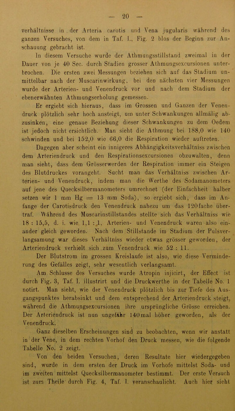 Verhältnisse in . der Arteria carotis und Vena jugularis während des ganzen Versuches, von dem in Taf. 1., Fig. 2 blos der Beginn zur An- schauung gebracht ist. ln diesem Versuche wurde der Athmungsstillstand zweimal in der Dauer von je 40 Sec. durch Stadien grosser Athmungsexcursionen unter- brochen. Die ersten zwei Messungen beziehen sich auf das Stadium un- mittelbar nach der Muscarinwirkung, bei den nächsten vier Messungen wurde der Arterien- und Venendruck vor und nach dem Stadium der ebenerwähnten Athmungserholung gemessen. Er ergiebt sich hieraus, dass im Grossen und Ganzen der Venen- druck plötzlich sehr hoch ansteigt, um unter Schwankungen allmälig ab- zusinken, eine genaue Beziehung dieser Schwankungen zu dem Oedem ist jedoch nicht ersichtlich. Man sieht die Athmung bei 188,0 wie 140 schwinden und bei 152,0 wie 66,0 die Respiration wieder auftreten. Dagegen aber scheint ein innigeres Abhängigkeitsverhältniss zwischen dem Arteriendruck und den Respirationsexcursionen obzuwalten, denn man sieht, dass dem Grösserwerden der Respiration immer ein Steigen des Blutdruckes vorangeht. Sucht man das Verhältniss zwischen Ar- terien- und Venendruck, indem man die Werthe des Sodamanoraeters auf jene des Quecksilbermanometers urarechnet (der Einfachheit halber setzen wir 1 mm Hg = 13 mm Soda), so.ergiebt sich, dass im An- fänge der Carotisdruck den Venendruck nahezu um das 120fache über- traf. Während des Muscarinstillstandes stellte sich das Verhältniss wie 18: 15,5, d. i. wie 1,1 tA» Arterien- und Venendruck waren also ein- ander gleich geworden. Nach dem Stillstände im Stadium der Pulsver- langsamung war dieses Verhältniss wieder etwas grösser geworden, der Arteriendruck verhielt sich zum Venendruck wie 52 : 11. Der Blutstrom im grossen Kreisläufe ist also, wie diese Verminde- rung des Gefälles zeigt, sehr wesentlich verlangsamt. Am Schlüsse des Versuches wurde Atropin injicirt, der Effect ist durch Fig. 3, Taf. 1. illustrirt und die Druckwerthe in der Tabelle No. 1 notirt. Man sieht, wie der Venendruck plötzlich bis zur Tiefe des Aus- gangspunktes herabsinkt und dem entsprechend der Arteriendruck steigt, während die Athmungsexcursionen ihre ursprüngliche Grösse erreichen. Der Arteriendruck ist nun ungefähr 140mal höher geworden, als der Venendruck. Ganz dieselben Erscheinungen sind zu beobachten, wenn wir anstatt in der Vene, in dem rechten Vorhof den Druck messen, wie die folgende Tabelle No. 2 zeigt. Von den beiden Versuchen, deren Resultate hier wiedergegeben sind, wurde in dem ersten der Druck im Vorhofe mittelst Soda- und im zweiten mittelst Quecksilbermanometer bestimmt. Der erste Versuch ist zum Thei.le durch Fig. 4, Taf. 1. veran.schaulicht. Auch hier sicht