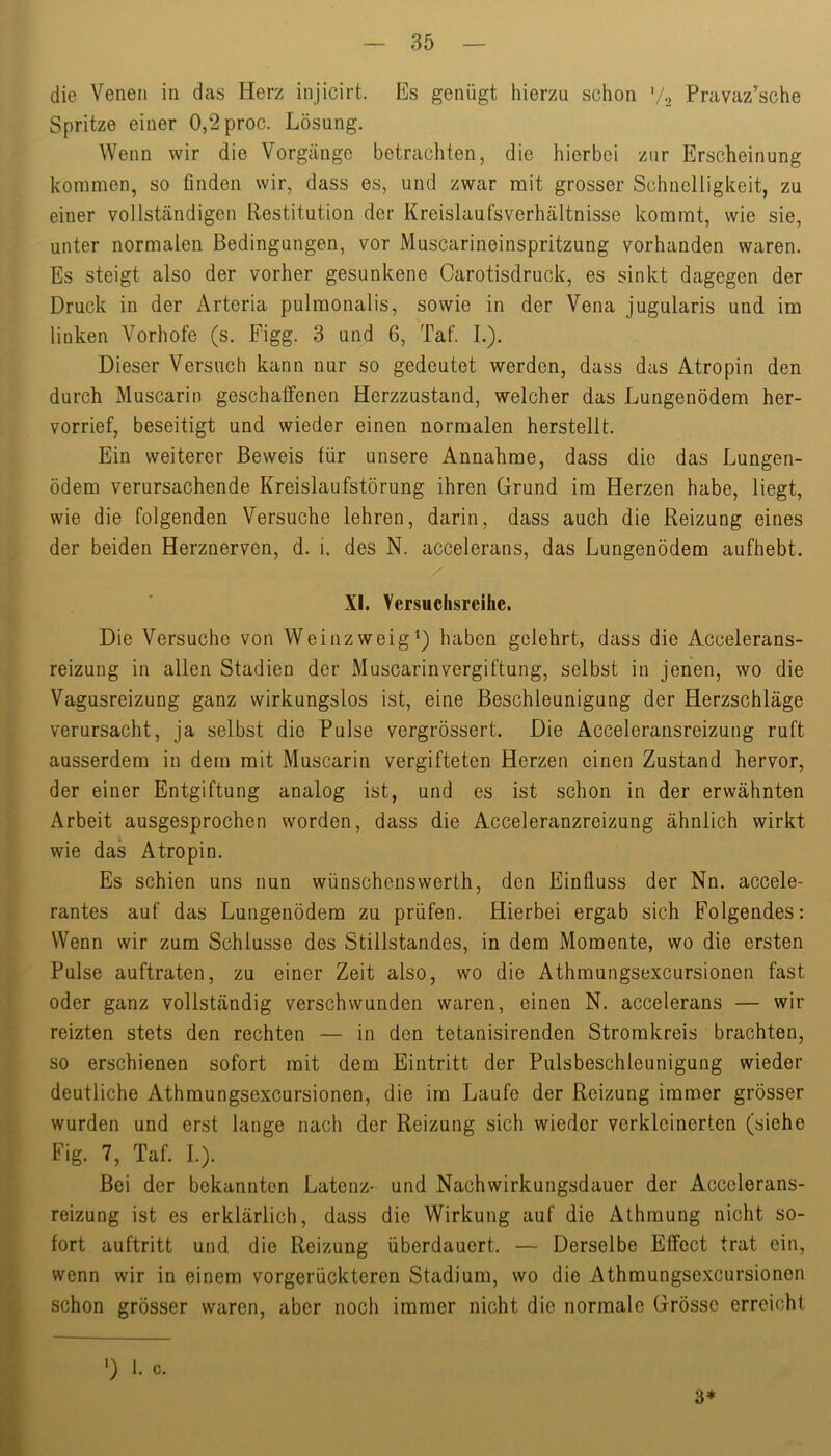 die Venen in das Herz injicirt. Es genügt hierzu schon Pravaz’^sche Spritze einer 0,2proc. Lösung. Wenn wir die Vorgänge betrachten, die hierbei zur Erscheinung kommen, so finden wir, dass es, und zwar mit grosser Schnelligkeit, zu einer vollständigen Restitution der Kreislaufsverhältnisse kommt, wie sie, unter normalen Bedingungen, vor Muscarineinspritzung vorhanden waren. Es steigt also der vorher gesunkene Carotisdruck, es sinkt dagegen der Druck in der Arteria pulraonalis, sowie in der Vena jugularis und im linken Vorhofe (s. Figg. 3 und 6, Taf. I.). Dieser Versuch kann nur so gedeutet werden, dass das Atropin den durch Muscarin geschaffenen Herzzustand, welcher das Lungenödem her- vorrief, beseitigt und wieder einen normalen herstellt. Ein weiterer Beweis für unsere Annahme, dass die das Lungen- ödem verursachende Kreislaufstörung ihren Grund im Herzen habe, liegt, wie die folgenden Versuche lehren, darin, dass auch die Reizung eines der beiden Herznerven, d. i. des N. accelerans, das Lungenödem aufhebt. XI. Versuchsreihe. Die Versuche von Weinzweig*) haben gelehrt, dass die Accelerans- reizung in allen Stadien der Muscarinvergiftung, selbst in jenen, wo die Vagusreizung ganz wirkungslos ist, eine Beschleunigung der Herzschläge verursacht, ja selbst die Pulse vergrössert. Die Acceleransreizung ruft ausserdem in dem mit Muscarin vergifteten Herzen einen Zustand hervor, der einer Entgiftung analog ist, und es ist schon in der erwähnten Arbeit ausgesprochen worden, dass die Acceleranzreizung ähnlich wirkt wie das Atropin. Es schien uns nun wünschenswerth, den Einfluss der Nn. accele- rantes auf das Lungenödem zu prüfen. Hierbei ergab sich Folgendes; Wenn wir zum Schlüsse des Stillstandes, in dem Momente, wo die ersten Pulse auftraten, zu einer Zeit also, wo die Athmungsexcursionen fast oder ganz vollständig verschwunden waren, einen N. accelerans — wir reizten stets den rechten — in den tetanisirenden Stromkreis brachten, so erschienen sofort mit dem Eintritt der Pulsbeschleunigung wieder deutliche Athmungsexcursionen, die im Laufe der Reizung immer grösser wurden und erst lange nach der Reizung sich wieder verkleinerten (siehe Fig. 7, Taf. L). Bei der bekannten Latenz- und Nachwirkungsdauer der Accelerans- reizung ist es erklärlich, dass die Wirkung auf die Athmung nicht so- fort auftritt und die Reizung überdauert. — Derselbe Effect trat ein, wenn wir in einem vorgerückteren Stadium, wo die Athmungsexcursionen schon grösser waren, aber noch immer nicht die normale Grösse erreicht ‘) 1. c. 3*