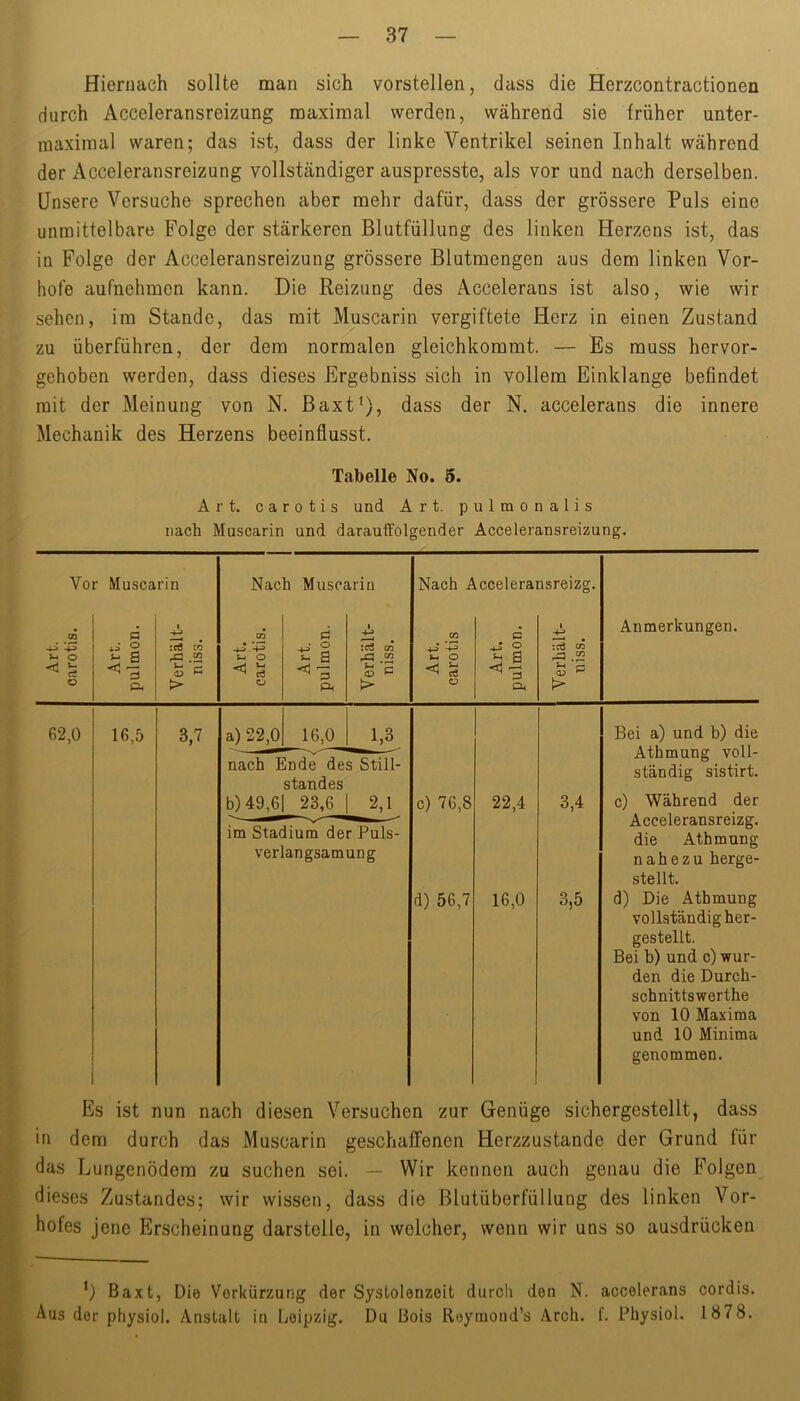 Hiernach sollte man sich vorstellen, dass die Herzcontractionen durch Acceleransreizung maximal werden, während sie früher unter- maximal waren; das ist, dass der linke Ventrikel seinen Inhalt während der Acceleransreizung vollständiger auspresste, als vor und nach derselben. Unsere Versuche sprechen aber mehr dafür, dass der grössere Puls eine unmittelbare Folge der stärkeren Blutfüllung des linken Herzens ist, das in Folge der Acceleransreizung grössere Blutmengen aus dem linken Vor- hofe aufnehmen kann. Die Reizung des Accelerans ist also, wie wir sehen, im Stande, das mit Muscarin vergiftete Herz in einen Zustand zu überführen, der dem normalen gleichkommt. — Es muss hervor- gehoben werden, dass dieses Ergebniss sich in vollem Einklänge befindet mit der Meinung von N. Baxt^), dass der N. accelerans die innere Mechanik des Herzens beeinflusst. Tabelle No. 5. Art. carotis und Art. pulmonalis nach Muscarin und darauffolgender Acceleransreizung. Vor Muscarin Nach Muscariu Nach Acceleransreizg. Art. carotis. Art. pulmon. 1 :cö CO ^ .22 > Art. carotis. Art. pulmon. Verhält- niss. Art. carotis Art. pulmon. 1 :cö o? Anmerkungen. 62,0 16,5 3,7 a) 22,0 16,0_ 1,3 Bei a) und b) die Athmung voll- ständig sistirt. c) Während der nach Ende des Still- standes b) 49,6]_ 23,6_| 2,1 c) 76,8 22,4 3,4 im Stadium der Puls- verlangsamung d) 56,7 16,0 3,5 Acceleransreizg. die Athmung nahezu herge- stellt. d) Die Athmung vollständig her- gestellt. Bei b) und c) wur- den die Durch- schnittswerthe von 10 Maxima und 10 Minima genommen. Es ist nun nach diesen Versuchen zur Genüge sichergestellt, dass in dem durch das Muscarin geschaffenen Herzzustande der Grund für das Lungenödem zu suchen sei. — Wir kennen auch genau die Folgen dieses Zustandes; wir wissen, dass die Blutüberfüllung des linken Vor- hofes jene Erscheinung darstelle, in welcher, wenn wir uns so ausdrücken *) Baxt, Die Verkürzung der SysLolenzeit durch den N. accelerans cordis. Aus der physiol. Anstalt in Leipzig. Du Bois Reyiuond’s Arch. f. Physiol. 1878.