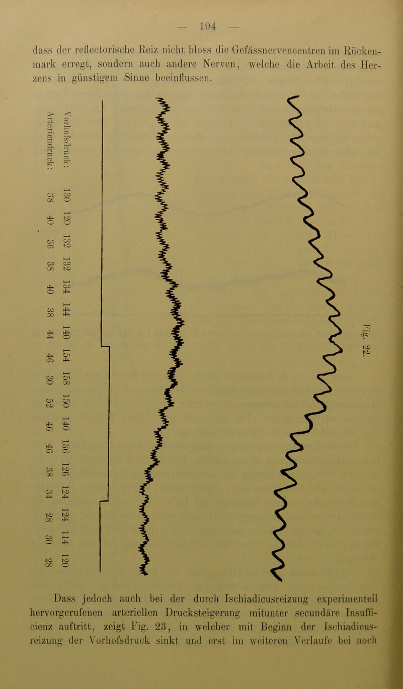 dass der i’ollcctoi-ische Reiz nicht bloss die Gcfässnei’ve mark erregt, sondern auch andere Nerven, welche zens in günstigem Sinne beeinllnssen. ncentren im Rücken- die Arbeit des Her- o 2. o o CO ZLj ff- 1—• HJ ff ff 2L • • oo CO CO O h-1 )—* oo CO cr:> to CO CO CO bO CO o 1—‘ 38 CT' CT5 )—i 03 Cr o 00 Ol Cn t>o f—‘ 4^ O 1—‘ CO- o cr^ 03 bO CO 05 1—* '03 lO 4:^ 1—‘ bO bü CO 4^ j—k 03 4^ H-» bO GO Dass jedoch auch bei der durch Ischiadicusreizung experimentell hervorgerufenen arteriellen Drucksteigerung mitunter secundäre Insufli- cienz auftritt, zeigt Fig. 23, in welcher mit Beginn der Ischiadicus- reizuiui’ der Vorhofsdruck sinkt und erst im weitereii Verlaufe bei nocli
