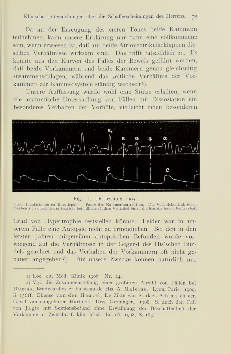 Da an der Erzeugung des ersten Tones beide Kammern teilnehmen, kann unsere Erklärung nur dann eine vollkommene sein, wenn erwiesen ist, daß auf beide Atrioventrikularklappen die- selben Verhältnisse wirksam sind. Das trifft tatsächlich zu. Es konnte aus den Kurven des Falles der Beweis geführt werden, daß beide Vorkammern und beide Kammern genau gleichzeitig zusammenschlagen, während das zeitliche Verhältnis der Vor- kammer- zur Kammersystole ständig wechselt1). Unsere Auffassung würde wohl eine Stütze erhalten, wenn die anatomische Untersuchung von Fällen mit Dissoziation ein besonderes Verhalten der Vorhöfe, vielleicht einen besonderen Fig. 14. Dissoziation 1905. Oben Jugularis, unten Karotispuls. Pause der Kammerkontraktion. Die Vorhofskontraktionen machen sich durch den in Diastole befindlichen linken Ventrikel bis in die Karotis hinein bemerkbar. Grad von Hypertrophie feststellen könnte. Leider war in un- serem Falle eine Autopsie nicht zu ermöglichen. Bei den in den letzten Jahren mitgeteilten autoptischen Befunden wurde vor- wiegend auf die Verhältnisse in der Gegend des His’schen Bün- dels geachtet und das Verhalten der Vorkammern oft nicht ge- nauer angegeben2). Für unsere Zwecke können natürlich nur 1) Loc. cit. Med. Klinik 1906. Nr. 24. 2) Vgl. die Zusammenstellung einer größeren Anzahl von Fällen bei Dumas, Bradycardies et Faisceau de His. A. Maloine. Lyon, Paris. 1909. S. 136ff. Ebenso van den Heuvel, De Zikte van Stokes-Adams en een Geval van aangeboren Hartblok. Diss. Groningen. 1908. S. auch den Fall von Jagic mit Sektionsbefund ohne Erwähnung der Beschaffenheit der Vorkammern. Zeitschr. f. klin. Med. Bd. 66, 1908, S. 183.