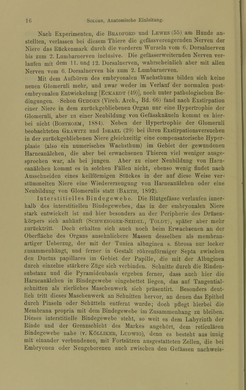 Nach Experimenten, die Bradfoed und Lewes (55j am Hunde an¬ stellten, verlassen bei diesem Thiere die gefässvereugernden Nerven der Niere das Rückenmark durch die vorderen Wurzeln vom 6. Dorsalnerven bis zum 2. Lumbarnerven inclusive. Die getasserweiternden Nerven ver¬ laufen mit dem 11. und 12. Dorsalnerven, wahrscheinlich aber mit allen Nerven vom 6. Dorsalnerven bis zum 2. Lumbarnerven. Mit dem Aufhören des embryonalen Wachsthums bilden sich keine neuen Glomeruli mehr, und zwar weder im Verlauf der normalen post¬ embryonalen Entwickelung [Eckardt (49)], noch unter pathologischen Be¬ dingungen. Schon Gudden (Virch. Arch., Bd. 66) fand nach Exstirpation einer Niere in dem zurückgebliebenen Organ nur eine Hypertrophie der Glomeruli, aber zu einer Neubildung von Gefässknäueln kommt es hier¬ bei nicht (Bostroem, 1884). Neben der Hypertrophie der Glomeruli beobachteten Geawitz und Israel (29) bei ihren Exstirpationsversuchen in der zurückgebliebenen Niere gleichzeitig eine compensatorische Hyper¬ plasie (also ein numerisches Wachsthum) im Gebiet der gewundenen Harncanälchen, die aber bei erwachsenen Thieren viel weniger ausge¬ sprochen war, als bei jungen. Aber zu einer Neubildung von Harn¬ canälchen kommt es in solchen Fällen nicht, ebenso wenig findet nach Ausschneiden eines keilförmigen Stückes in der auf diese Weise ver¬ stümmelten Niere eine Wiedererzeugung von Harncanälchen oder eine Neubildung von Glomerulis statt (Barth, 1892). Interstitielles Bindegewebe. Die Blutgefässe verlaufen inner¬ halb des interstitiellen Bindegewebes, das in der embryonalen Niere stark entwickelt ist und hier besonders an der Peripherie des Drüsen¬ körpers sich anhäuft (Schweigger-Seidel, Toldt), später aber mehr zurücktritt. Doch erhalten sich auch noch beim Erwachsenen an der Oberfläche des Organs ansehnlichere Massen desselben als membran¬ artiger Ueberzug, der mit der Tunica albuginea s. fibrosa nur locker zusammenhängt, und ferner in Gestalt röhrenförmiger Septa zwischen den Ductus papilläres im Gebiet der Papille, die mit der Albuginea durch einzelne stärkere Züge sich verbinden. Schnitte durch die Rinden¬ substanz und die Pyramidenbasis ergeben ferner, dass auch hier die Harncanälchen in Bindegewebe eingebettet liegen, das auf Tangential¬ schnitten als zierliches Maschenwerk sich präsentirt. Besonders deut¬ lich tritt dieses Maschenwerk an Schnitten hervor, an denen das Epithel durch Pinseln oder Schütteln entfernt wurde; doch pflegt hierbei die Membrana propria mit dem Bindegewebe im Zusammenhang zu bleiben. Dieses interstitielle Bindegewebe steht, so weit es dem Labyrinth der Rinde und der Grenzschicht des Markes angehört, dem reticuläreu Bindegewebe nahe (v. Köllikee, Ludwig), denn es besteht aus innig mit einander verbundenen, mit Fortsätzen ausgestatteten Zellen, die bei Embryonen oder Neugeborenen auch zwischen den Gefässen nachweis-