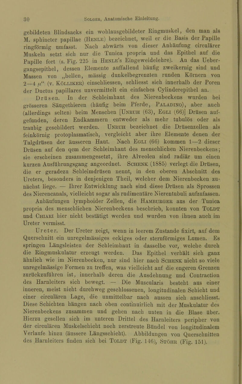 gebildeten ßlindsacks ein wohlausgebildeter Ringmuskel, den man als M. sphincter papillae (Henle) bezeichnet, weil er die Basis der Papille ringförmig umfasst. Nach abwärts von dieser Anhäufung circulärer Muskeln setzt sich nur die Tunica propria und das Epithel auf die Papille fort (s. Fig. 225 in Henle’s Eingeweidelehre). An das Ueber- gangsepithel, dessen Elemente auffallend häufig zweikernig sind und Massen von „hellen, mässig dunkelbegrenzten runden Körnern von 2—4 u“ (v. Kölliker) einschliessen, schliesst sich innerhalb der Poren der Ductus papilläres unvermittelt ein einfaches Cylinderepithel an. Drüsen. In der Schleimhaut des Nierenbeckens wurden bei grösseren Säugethieren (häufig beim Pferde, Paladino), aber auch (allerdings selten) beim Menschen [Unruh (63), Egli (66)] Drüsen auf¬ gefunden, deren Endkammern entweder als mehr tubulös oder als traubig geschildert werden. Unruh bezeichnet die Drüsenzellen als feinkörnig protoplasmatisch, vergleicht aber ihre Elemente denen der Talgdrüsen der äusseren Haut. Nach Egli (66) kommen 1—2 dieser Drüsen auf den qcm der Schleimhaut des menschlichen Nierenbeckens; sie erscheinen zusammengesetzt, ihre Alveolen sind radiär um einen kurzen Ausführungsgang angeordnet. Schenk (1885) verlegt die Drüsen, die er geradezu Schleimdrüsen nennt, in den oberen Abschnitt des Ureters, besonders in denjenigen Theil, welcher dem Nierenbecken zu¬ nächst liege. — Ihrer Entwicklung nach sind diese Drüsen als Sprossen des Nierencanals, vielleicht sogar als rudimentäre Nierentubuli aufzufassen. Anhäufungen lymphoider Zellen, die Hamburger aus der Tunica propria des menschlichen Nierenbeckens beschrieb, konnten von Toldt und CmARi hier nicht bestätigt werden und wurden von ihnen auch im Ureter vermisst. Ureter. Der Ureter zeigt, wenn in leerem Zustande fixirt, auf dem Querschnitt ein unregelmässiges eckiges oder sternförmiges Lumen. Es springen Längsleisten der Schleimhaut in dasselbe vor, welche durch die Ringmuskulatur erzeugt werden. Das Epithel verhält sich ganz ähnlich wie im Nierenbecken, nur sind hier nach Schenk nicht so viele unregelmässige Formen zu treffen, was vielleicht auf die engeren Grenzen zurückzuführen ist, innerhalb deren die Ausdehnung und Contraction des Harnleiters sich bewegt. — Die Muscularis besteht aus einer inneren, meist nicht durchweg geschlossenen, longitudinalen Schicht und einer circulären Lage, die unmittelbar nach aussen sich anschliesst. Diese Schichten hängen nach oben continuirlich mit der Muskulatur des Nierenbeckens zusammen und gehen nach unten in die Blase über. Hierzu gesellen sich im unteren Drittel des Harnleiters peripher von der circulären Muskelschicht noch zerstreute Bündel von longitudinalem Verlaufe hinzu (äussere Längsschicht). Abbildungen von Querschnitten des Harnleiters finden sich bei Toldt (Fig. 146), Stöur (Fig. 151).