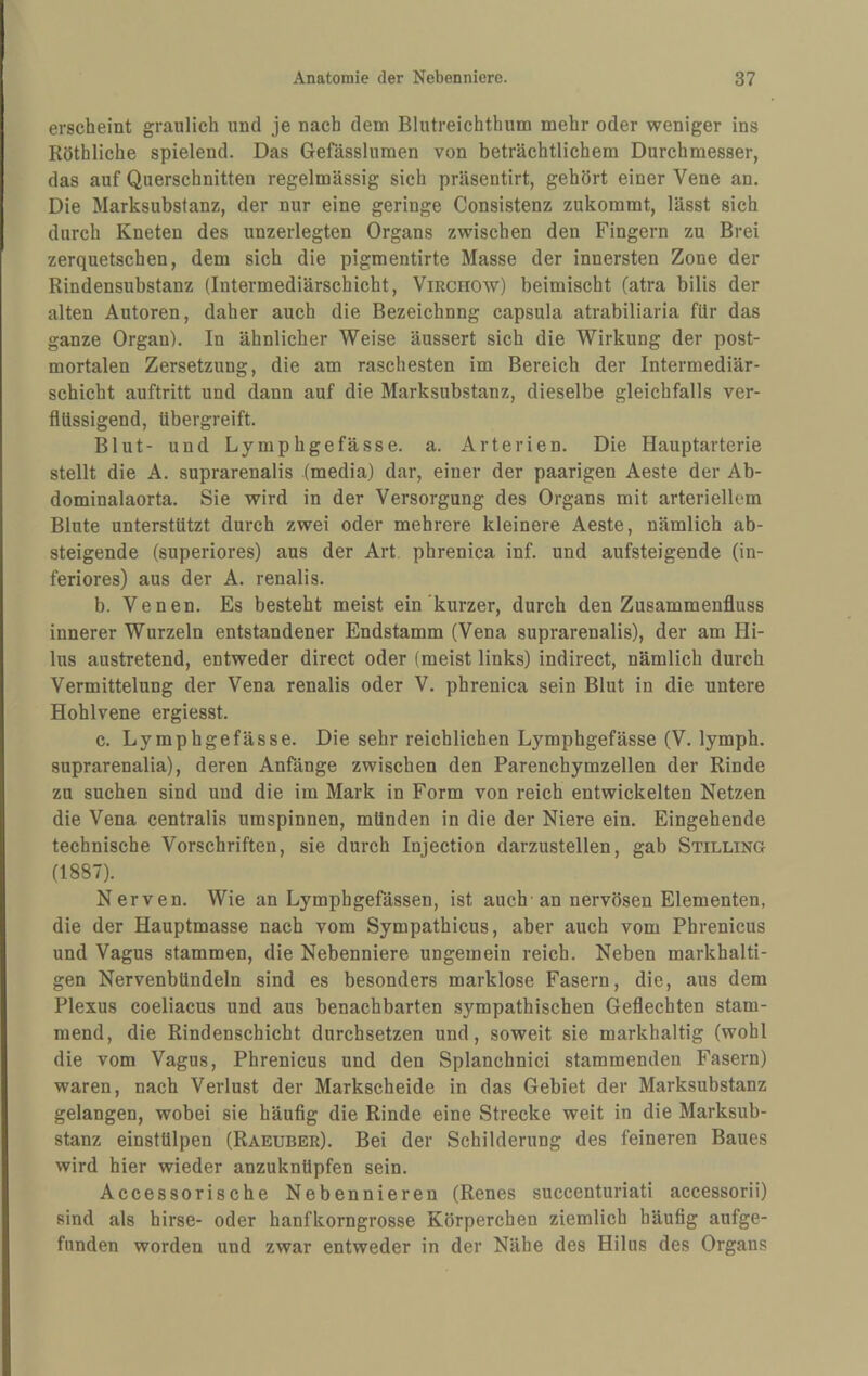 erscheint graulich und je nach dem Blutreichthum mehr oder weniger ins Röthliche spielend. Das Gefässluraen von beträchtlichem Durchmesser, das auf Querschnitten regelmässig sich präsentirt, gehört einer Vene an. Die Marksubstanz, der nur eine geringe Consistenz zukommt, lässt sich durch Kneten des unzerlegten Organs zwischen den Fingern zu Brei zerquetschen, dem sich die pigmentirte Masse der innersten Zone der Rindensubstanz (Intermediärschicht, Virchow) beimischt (atra bilis der alten Autoren, daher auch die Bezeichnng capsula atrabiliaria für das ganze Organ). In ähnlicher Weise äussert sich die Wirkung der post¬ mortalen Zersetzung, die am raschesten im Bereich der Intermediär¬ schicht auftritt und dann auf die Marksubstanz, dieselbe gleichfalls ver¬ flüssigend, übergreift. Blut- und Lymphgefässe. a. Arterien. Die Hauptarterie stellt die A. suprarenalis (media) dar, einer der paarigen Aeste der Ab¬ dominalaorta. Sie wird in der Versorgung des Organs mit arteriellem Blute unterstützt durch zwei oder mehrere kleinere Aeste, nämlich ab¬ steigende (superiores) aus der Art phrenica inf. und aufsteigende (in¬ feriores) aus der A. renalis. b. Venen. Es besteht meist ein'kurzer, durch den Zusammenfluss innerer Wurzeln entstandener Endstamm (Vena suprarenalis), der am Hi- lus austretend, entweder direct oder (meist links) indirect, nämlich durch Vermittelung der Vena renalis oder V. phrenica sein Blut in die untere Hohlvene ergiesst. c. Ly mphgefässe. Die sehr reichlichen Lymphgefässe (V. lymph. suprarenalia), deren Anfänge zwischen den Parenchymzellen der Rinde zu suchen sind und die im Mark in Form von reich entwickelten Netzen die Vena centralis umspinnen, münden in die der Niere ein. Eingehende technische Vorschriften, sie durch Injection darzustellen, gab Stilling (1887). Nerven. Wie an Lymphgefässen, ist auch'an nervösen Elementen, die der Hauptmasse nach vom Sympathicus, aber auch vom Phrenicus und Vagus stammen, die Nebenniere ungemein reich. Neben markhalti¬ gen Nervenbündeln sind es besonders marklose Fasern, die, aus dem Plexus coeliacus und aus benachbarten sympathischen Geflechten stam¬ mend, die Rindenschicht durchsetzen und, soweit sie markhaltig (wohl die vom Vagus, Phrenicus und den Splanchnici stammenden Fasern) waren, nach Verlust der Markscheide in das Gebiet der Marksubstanz gelangen, wobei sie häufig die Rinde eine Strecke weit in die Marksub¬ stanz einstülpen (Raeuber). Bei der Schilderung des feineren Baues wird hier wieder anzuknüpfen sein. Accessorische Nebennieren (Renes succenturiati accessorii) sind als hirse- oder hanfkorngrosse Körperchen ziemlich häufig aufge¬ funden worden und zwar entweder in der Nähe des Hilus des Organs