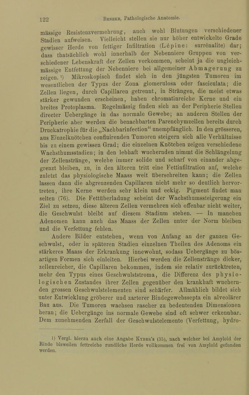massige Resistenzvermehrnng, auch wohl Blutungen verschiedener Stadien aufweisen. Vielleicht stellen sie nur höher entwickelte Grade gewisser Herde von fettiger Infiltration (L6pine: surrönalite) dar; dass thatsächlich wohl innerhalb der Nebenniere Gruppen von ver¬ schiedener Lebenskraft der Zellen verkommen, scheint ja die ungleich- mässige Entfettung der Nebenniere bei allgemeiner Abmagerung zu zeigen. ') Mikroskopisch findet sich in den jüngsten Tumoren im wesentlichen der Typus der Zona glomerulosa oder fasciculata; die Zellen liegen, durch Capillaren getrennt, in Strängen, die meist etwas stärker gewunden erscheinen, haben chromatinreiche Kerne und ein breites Protoplasma. Regelmässig finden sich an der Peripherie Stellen directer Uebergänge in das normale Gewebe; an anderen Stellen der Peripherie aber werden die benachbarten Parenchymzellen bereits durch Druckatrophie für die „Nachbarinfection“ unempfänglich. In den grösseren, aus Einzelknötchen confluirenden Tumoren steigern sich alle Verhältnisse bis zu einem gewissen Grad; die einzelnen Knötchen zeigen verschiedene Wachsthumsstadien; in den lebhaft wuchernden nimmt die Schlängelung der Zellenstränge, welche immer solide und scharf von einander abge¬ grenzt bleiben, zu, in den älteren tritt eine Fettinfiltration auf, welche zuletzt das physiologische Maass weit überschreiten kann; die Zellen lassen dann die abgrenzenden Capillaren nicht mehr so deutlich hervor¬ treten, ihre Kerne werden sehr klein und eckig. Pigment findet man selten (76). Die Fettüberladung scheint der Wachsthumssteigerung ein Ziel zu setzen, diese älteren Zellen vermehren sich offenbar nicht weiter, die Geschwulst bleibt auf diesem Stadium stehen. — In manchen Adenomen kann auch das Maass der Zellen unter der Norm bleiben und die Verfettung fehlen. Andere Bilder entstehen, wenn von Anfang an der ganzen Ge¬ schwulst, oder in späteren Stadien einzelnen Theilen des Adenoms ein stärkeres Maass der Erkrankung innewohnt, sodass Uebergänge zu bös¬ artigen Formen sich einleiten. Hierbei werden die Zellenstränge dicker, zellenreicher, die Capillaren bekommen, indem sie relativ zurücktreten, mehr den Typus eines Geschwulststroma, die Differenz des physio¬ logischen Zustandes ihrer Zellen gegenüber den krankhaft wuchern¬ den grossen Geschwulstelementen sind schärfer. Allmählich bildet sich unter Entwicklung gröberer und zarterer Bindegewebssepta ein alveolärer Bau aus. Die Tumoren wachsen rascher zu bedeutenden Dimensionen heran; die Uebergänge ins normale Gewebe sind oft schwer erkennbar. Dem zunehmenden Zerfall der Geschwulstelemente (Verfettung, hydro- 1) Vergl. hierzu auch eine Angabe Kyber’s (35), nach welcher bei Amyloid der Binde bisweilen fettreiche rundliche Horde vollkommen frei von Amyloid gefunden werden.