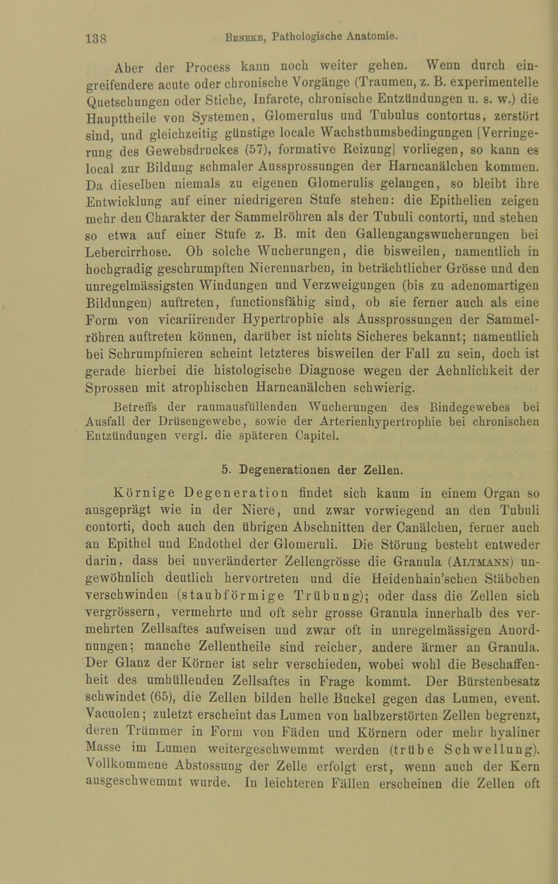 Aber der Process kann noch weiter gehen. Wenn durch ein¬ greifendere acute oder chronische Vorgänge (Traumen, z. B. experimentelle Quetschungen oder Stiche, Infarcte, chronische Entzündungen u. s. w.) die Haupttheile von Systemen, Glomerulus und Tubulus contortus, zerstört sind, und gleichzeitig günstige locale Wachsthumsbedingungen [Verringe¬ rung des Gewebsdruckes (57), formative Reizung] vorliegen, so kann es local zur Bildung schmaler Aussprossungen der Harncanälchen kommen. Da dieselben niemals zu eigenen Glomerulis gelangen, so bleibt ihre Entwicklung auf einer niedrigeren Stufe stehen: die Epithelien zeigen mehr den Charakter der Sammelröhren als der Tubuli contorti, und stehen 60 etwa auf einer Stufe z. B. mit den Gallengangswucherungen bei Lebercirrhose. Ob solche Wucherungen, die bisweilen, namentlich in hochgradig geschrumpften Nierennarben, in beträchtlicher Grösse und den unregelmässigsten Windungen und Verzweigungen (bis zu adenomartigen Bildungen) auftreten, functionsfähig sind, ob sie ferner auch als eine Form von vicariirender Hypertrophie als Aussprossungen der Sammel¬ röhren auftreten können, darüber ist nichts Sicheres bekannt; namentlich bei Schrumpfnieren scheint letzteres bisweilen der Fall zu sein, doch ist gerade hierbei die histologische Diagnose wegen der Aehnlichkeit der Sprossen mit atrophischen Harncanälchen schwierig. Betreffs der raumausfüllenden Wucherungen des Bindegewebes bei Ausfall der Drüsengewebe, sowie der Arterienhypertrophie bei chronischen Entzündungen vergl. die späteren Capitel. 5. Degenerationen der Zellen. Körnige Degeneration findet sich kaum in einem Organ so ausgeprägt wie in der Niere, und zwar vorwiegend an den Tubuli contorti, doch auch den übrigen Abschnitten der Canälchen, ferner auch an Epithel und Endothel der Glomeruli. Die Störung besteht entweder darin, dass bei unveränderter Zellengrösse die Granula (Altmann) un¬ gewöhnlich deutlich hervortreten und die Heidenhain’scheu Stäbchen verschwinden (staubförmige Trübung); oder dass die Zellen sich vergrössern, vermehrte und oft sehr grosse Granula innerhalb des ver¬ mehrten Zellsaftes aufweisen und zwar oft in unregelmässigen Anord¬ nungen; manche Zellentheile sind reicher, andere ärmer an Granula. Der Glanz der Körner ist sehr verschieden, wobei wohl die Beschaffen¬ heit des umhüllenden Zellsaftes in Frage kommt. Der Bürstenbesatz schwindet (65), die Zellen bilden helle Buckel gegen das Lumen, event. Vacuolen; zuletzt erscheint das Lumen von halbzerstörten Zellen begrenzt, deren Trümmer in Form von Fäden und Körnern oder mehr hyaliner Masse im Lumen weitergeschwemmt werden (trübe Schwellung). Vollkommene Abstossung der Zelle erfolgt erst, wenn auch der Kern ausgeschwemmt wurde. In leichteren Fällen erscheinen die Zellen oft