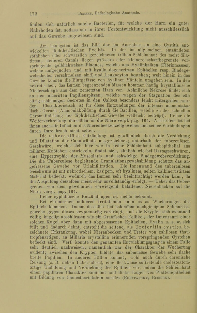 finden sich natürlich, solche Bacterien, für welche der Harn ein guter Nährboden ist, sodass sie in ihrer Fortentwicklung nicht ausschliesslich auf das Gewebe angewiesen sind. Ara häufigsten ist das Bild der ira Anschluss an eine Cystitis ent¬ wickelten diphtheritischen Pyelitis. In der ira allgemeinen entzündeten röthlichen oder schwärzlich gezeichneten trüben Schleimhaut des meist dila- tirten, steiferen Canals liegen grössere oder kleinere scharfbegrenzte vor¬ springende gelblichweisse Plaques, welche aus Hyalinbalken (Fibrinmassen, welche aufgequollen und mit hyalin degenerirten Epithelien resp. Bindege- webstheilen verschmolzen sind) und Leukocyten bestehen; weit hinein in das Gewebe können die Blutgefässe von hyalinen Mänteln umgeben sein. In den nekrotischen, das Lumen begrenzenden Massen kommen häufig krystallinische Niederschläge aus dem zersetzten Harn vor. Aehnliche Nekrose findet sich an den ulcerirten Papillenspitzen, welche wegen der Stagnation des zäh eiti'ig-schleimigen Secretes in den Calices besonders leicht mitergriffen wer¬ den. Charakteristisch ist für diese Entzündungen der intensiv ammoniaka- lische Geruch (Ammoniakbildung durch die Bacillen, welche zu der schnellen Chromatinlösung der diphtheritischen Gewebe vielleicht beiträgt). Heber die Weiterverbreitung derselben in die Niere vergl. pag. 164. Ausserdem ist bei ihnen auch die Infection des Nierenbeckenzellgewebes und seiner Verbindungen durch Durchbruch nicht selten. Die tuberculöse Entzündung ist gewöhnlich durch die Verdickung und Dilatation der Canalwände ausgezeichnet; unterhalb der tuberculösen Geschwüre, welche sich hier wie in jeder Schleimhaut subepithelial aus miliaren Knötchen entwickeln, findet sich, ähnlich wie bei Darmgeschwüren, eine Hypertrophie der Muscularis und schwielige Bindegewebsverdickung. Die die Tuberculöse begleitende Granulationsgewebsbildung schützt das an¬ gefressene Gewebe vor Urininfiltration. Die Innenwand des tuberculösen Geschwürs ist mit nekrotischem, käsigem, oft hyalinem, selten kalkincrustirtem Material bedeckt, wodurch das Lumen sehr beeinträchtigt werden kann, da die Abspülung desselben meist sehr unvollständig erfolgt. — Heber das Ueber- greifen von dem gewöhnlich vorwiegend befallenen Nierenbecken auf die Niere vergl. pag. 164. Heber syphilitische Entzündungen ist nichts bekannt. Bei chronischen milderen Irritationen kann es zu Wucherungen des Epithels kommen. Indem dasselbe bei schlaffem nachgiebigem Submucosa- gewebe gegen dieses kryptenartig vordringt, und die Krypten sich eventuell völlig kugelig abschliessen wie ein Graafscher Follikel, der Innenraum einer solchen Kugel aber dann mit abgestossenen Epithelien, Hyalin u. s. w. sich füllt und dadurch dehnt, entsteht die seltene, als Ureteritis cystica be- zeichnete Erkrankung, wobei Nierenbecken und Ureter von zahllosen thau- tropfenartigen, an Miliaria crystallina erinnernden vorspringenden Cystchen bedeckt sind. Verf. konnte den genannten Entwicklungsgang in einem Falle sehr deutlich nachweisen, namentlich war der Charakter der Wucherung evident; zwischen den Krypten bildete das submucöse Gewebe sehr flache breite Papillen. In anderen Fällen kommt, wohl auch durch chronische Reizung (z. B. neben Tuberculöse), eine fleckweise auftretende cholesteatom¬ artige Umbildung und Verdickung des Epithels vor, indem die Schleimhaut einen papillären Charakter annimmt und dicke Lagen von Plattenepithelien mit Bildung von Cholestearintafeln ansetzt (Rokitansky, Beselin).