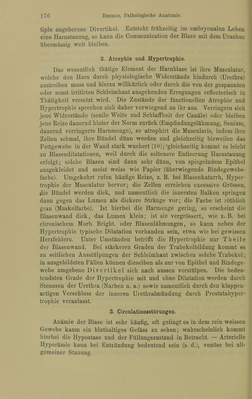 tiple angeborene Divertikel. Entsteht frühzeitig im embryonalen Leben eine Harnstauung, so kann die Communication der Blase mit dem Urachus übermässig weit bleiben. 2. Atrophie und Hypertrophie. Das wesentlich thätige Element der Harnblase ist ihre Musculatur, welche den Harn durch physiologische Widerstände hindurch (Urethra) austreiben muss und hierzu willkürlich oder durch die von der gespannten oder sonst irritirten Schleimhaut ausgehenden Erregungen reflectorisch in Thätigkeit versetzt wird. Die Zustände der functioneilen Atrophie und Hypertrophie sprechen sich daher vorwiegend an ihr aus. Verringern sich jene Widerstände (senile Weite und Schlaffheit der Canäle) oder bleiben jene Reize dauernd hinter der Norm zurück (Empfindungslähmung, Senium, dauernd verringerte Harnmenge), so atrophirt die Muscularis, indem ihre Zellen schmal, ihre Bündel dünn werden und gleichzeitig bisweilen das Fettgewebe in der Wand stark wuchert (10); 'gleichzeitig kommt es leicht zu Blasendilatationen, weil durch die seltenere Entleerung Harnstauung erfolgt; solche Blasen sind dann sehr dünn, von spiegelndem Epithel ausgekleidet und meist weiss wie Papier (überwiegende Bindegewebs- farbe). Umgekehrt rufen häufige Reize, z. B. bei Blasenkatarrh, Hyper¬ trophie der Musculatur hervor; die Zellen erreichen excessive Grössen, die Bündel werden dick, und namentlich die innersten Balken springen dann gegen das Lumen als dickere Stränge vor; die Farbe ist röthlich grau (Muskelfarbe). Ist hierbei die Harmenge gering, so erscheint die Blasenwand dick, das Lumen klein; ist sie vergrössert, wie z. B. bei chronischem Morb. Bright. oder Blasenlähmungen, so kann neben der Hypertrophie typische Dilatation vorhanden sein, etwa wie bei gewissen Herzfehlern. Unter Umständen betrifft die Hypertrophie nur Theile der Blasenwand. Bei stärkeren Graden der Trabekelbildung kommt es zu seitlichen Ausstülpungen der Schleimhaut zwischen solche Trabekel; in ausgebildeten Fällen können dieselben als nur von Epithel und Bindege¬ webe umgebene Divertikel sich nach aussen vorstülpen. Die bedeu¬ tendsten Grade der Hypertrophie mit und ohne Dilatation werden durch Stenosen der Urethra (Narben u. a.) sowie namentlich durch den klappen¬ artigen Verschluss der inneren Urethralmündung durch Prostatahyper¬ trophie veranlasst. 3. Girculationsstörungen. Anämie der Blase ist sehr häufig, oft gelingt es in dem rein weissen Gewebe kaum ein bluthaltiges Gefäss zu sehen; wahrscheinlich kommt hierbei die Hypostase und der Füllungszustand in Betracht. — Arterielle Hyperämie kann bei Entzündung bedeutend sein (s. d.), venöse bei all¬ gemeiner Stauung.