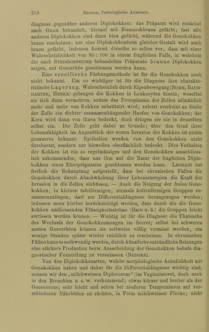 (liagnose gegenüber anderen Diplokokken: das Präparat wird zunächst nach Gram behandelt, hierauf mit ßismarckbraun gefärbt; fast alle anderen Diplokokken sind dann blau gefärbt, während die Gonokokken braun erscheinen; nur eine Diplokokkenform gleicher Gestalt wird auch braun gefärbt, indessen kommt dieselbe so selten vor, dass mit einer Wahrscheinlichkeit von 95 : 100 in einem fraglichen Falle, in welchem die nach Steinschneider behandelten Präparate braune Diplokokken zeigen, auf Gonorrhöe geschlossen werden kann. Eine specifische Färbungsmethode ist für die Gonokokken noch nicht bekannt. Um so wichtiger ist für die Diagnose ihre charakte¬ ristische Lagerung. Wahrscheinlich durch Eigenbewegung(Bumm, Baum¬ garten, Henke) gelangen die Kokken in Leukocyten hinein, woselbst sie sich dann vermehren, sodass das Protoplasma der Zellen allmählich mehr und mehr von Kokken substituirt wird; zuletzt erscheint an Stelle der Zelle ein dichter zusammenhängender Haufen von Gonokokken; der Kern wird dann von ihnen bedeckt, doch dringen sie nie in denselben selbst ein. Die Zelle geht dabei zu Grunde; über den Grad ihrer Lebensfähigkeit im Augenblick der ersten Invasion der Kokken ist nichts genaueres bekannt. Epithelien werden von den Gonokokken nicht durchsetzt, sondern nur bisweilen oberflächlich bedeckt. Dies Verhalten der Kokken ist ein so regelmässiges und den Gonokokken ausschliess¬ lich zukommendes, dass aus ihm auf die Natur der fraglichen Diplo¬ kokken eines Eiterpräparates geschlossen werden kann. Legrain hat freilich die Behauptung aufgestellt, dass bei chronischen Fällen die Gonokokken durch Abschwächung ihrer Lebensenergien die Kraft der Invasion in die Zellen einbüssen. — Auch die Neigung der freien Gono¬ kokken, in kleinen tafelförmigen, niemals kettenförmigen Gruppen zu¬ sammenzuliegen, darf zur Differentialdiagnose herangezogen werden; indessen muss hierbei berücksichtigt werden, dass durch die die Gono¬ kokken umfliessenden Flüssigkeitsströme (Harn u. ä.) die Gruppen leicht zerrissen werden können. — Wichtig ist für die Diagnose die Thatsache des Wechsels der Gonokokkenmengen im Secret; selbst bei schweren acuten Gonorrhöen können sie zeitweise völlig vermisst werden, um wenige Stunden später wieder reichlich zu erscheinen. In chronischen Fällen kann es nothwendig werden, durch künstliche entzündliche Reizungen eine stärkere Production bezw. Ausscheidung der Gonokokken behufs dia¬ gnostischer Feststellung zu veranlassen (Neisser). Von den Diplokokkenarten, welche morphologische Aehnlichkeit mit Gonokokken haben und daher für die Differentialdiagnose wichtig sind, nennen wir den „milchweissen Diplococcus“ (im Vaginalsecret, doch auch in den Bronchien u. s. w. vorkommend; etwas kürzer und breiter als der Gonococcus; sehr leicht und schon bei niederen Temperaturen auf ver¬ schiedenen Nährböden zu züchten, in Form milchweisser Flecke; nicht