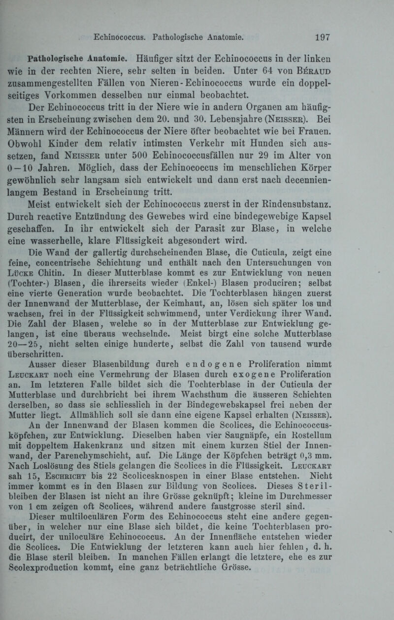 Pathologische Anatomie. Häufiger sitzt der Echinococcus in der linken wie in der rechten Niere, sehr selten in beiden. Unter 64 von Beraud zusammengestellten Fällen von Nieren-Echinococcus wurde ein doppel¬ seitiges Vorkommen desselben nur einmal beobachtet. Der Echinococcus tritt in der Niere wie in andern Organen am häufig¬ sten in Erscheinung zwischen dem 20. und 30. Lebensjahre (Neisser). Bei Männern wird der Echinococcus der Niere öfter beobachtet wie bei Frauen. Obwohl Kinder dem relativ intimsten Verkehr mit Hunden sich aus¬ setzen, fand Neisser unter 500 Echinococcusfällen nur 29 im Alter von 0 — 10 Jahren. Möglich, dass der Echinococcus im menschlichen Körper gewöhnlich sehr langsam sich entwickelt und dann erst nach decennien- langem Bestand in Erscheinung tritt. Meist entwickelt sich der Echinococcus zuerst in der Rindensubstanz. Durch reactive Entzündung des Gewebes wird eine bindegewebige Kapsel geschaffen. In ihr entwickelt sich der Parasit zur Blase, in welche eine wasserhelle, klare Flüssigkeit abgesondert wird. Die Wand der gallertig durchscheinenden Blase, die Cuticula, zeigt eine feine, concentrische Schichtung und enthält nach den Untersuchungen von Lücke Chitin. In dieser Mutterblase kommt es zur Entwicklung von neuen (Tochter-) Blasen, die ihrerseits wieder (Enkel-) Blasen produciren; selbst eine vierte Generation wurde beobachtet. Die Tochterblasen hängen zuerst der Innenwand der Mutterblase, der Keimhaut, an, lösen sich später los und wachsen, frei in der Flüssigkeit schwimmend, unter Verdickung ihrer Wand. Die Zahl der Blasen, welche so in der Mutterblase zur Entwicklung ge¬ langen, ist eine überaus wechselnde. Meist birgt eine solche Mutterblase 20—25, nicht selten einige hunderte, selbst die Zahl von tausend wurde überschritten. Ausser dieser Blasenbildung durch endogene Proliferation nimmt Leuckart noch eine Vermehrung der Blasen durch exogene Proliferation an. Im letzteren Falle bildet sich die Tochterblase in der Cuticula der Mutterblase und durchbricht bei ihrem Wachsthum die äusseren Schichten derselben, so dass sie schliesslich in der Bindegewebskapsel frei neben der Mutter liegt. Allmählich soll sie dann eine eigene Kapsel erhalten (Neisser). An der Innenwand der Blasen kommen die Scolices, die Echinococcus¬ köpfchen, zur Entwicklung. Dieselben haben vier Saugnäpfe, ein Rostellum mit doppeltem Hakenkranz und sitzen mit einem kurzen Stiel der Innen¬ wand, der Parenchymschicht, auf. Die Länge der Köpfchen beträgt 0,3 mm. Nach Loslösung des Stiels gelangen die Scolices in die Flüssigkeit. Leuckart sah 15, Eschricht bis 22 Scolicesknospen in einer Blase entstehen. Nicht immer kommt es in den Blasen zur Bildung von Scolices. Dieses Steril¬ bleiben der Blasen ist nicht an ihre Grösse geknüpft; kleine im Durchmesser von 1 cm zeigen oft Scolices, während andere faustgrosse steril sind. Dieser multiloculären Form des Echinococcus steht eine andere gegen¬ über, in welcher nur eine Blase sich bildet, die keine Tochterblasen pro- ducirt, der uniloculäre Echinococcus. An der Innenfläche entstehen wieder die Scolices. Die Entwicklung der letzteren kann auch hier fehlen, d. h. die Blase steril bleiben. In manchen Fällen erlangt die letztere, ehe es zur Scolexproduction kommt, eine ganz beträchtliche Grösse.