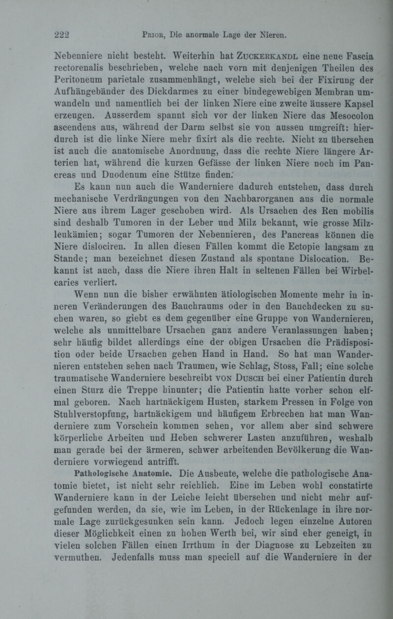 Nebenniere nicht besteht. Weiterhin hat Zuckerkandl eine neue Fascia rectorenalis beschrieben, welche nach vorn mit denjenigen Theilen des Peritoneum parietale zusammenhängt, welche sich bei der Fixirung der Aufhängebänder des Dickdarmes zu einer bindegewebigen Membran um¬ wandeln und namentlich bei der linken Niere eine zweite äussere Kapsel erzeugen. Ausserdem spannt sich vor der linken Niere das Mesocolon ascendens aus, während der Darm selbst sie von aussen umgreift: hier¬ durch ist die linke Niere mehr fixirt als die rechte. Nicht zu übersehen ist auch die anatomische Anordnung, dass die rechte Niere längere Ar¬ terien hat, während die kurzen Gefässe der linken Niere noch im Pan- creas und Duodenum eine Stütze finden.' Es kann nun auch die Wanderniere dadurch entstehen, dass durch mechanische Verdrängungen von den Nachbarorganen aus die normale Niere aus ihrem Lager geschoben wird. Als Ursachen des Ren mobilis sind deshalb Tumoren in der Leber und Milz bekannt, wie grosse Milz¬ leukämien; sogar Tumoren der Nebennieren, des Pancreas können die Niere dislociren. In allen diesen Fällen kommt die Ectopie langsam zu Stande; man bezeichnet diesen Zustand als spontane Dislocation. Be¬ kannt ist auch, dass die Niere ihren Halt in seltenen Fällen bei Wirbel- caries verliert. Wenn nun die bisher erwähnten ätiologischen Momente mehr in in¬ neren Veränderungen des Bauchraums oder in den Bauchdecken zu su¬ chen waren, so giebt es dem gegenüber eine Gruppe von Wandernieren, welche als unmittelbare Ursachen ganz andere Veranlassungen haben; sehr häufig bildet allerdings eine der obigen Ursachen die Prädisposi¬ tion oder beide Ursachen gehen Hand in Hand. So hat man Wander¬ nieren entstehen sehen nach Traumen, wie Schlag, Stoss, Fall; eine solche traumatische Wanderniere beschreibt von Dusch bei einer Patientin durch einen Sturz die Treppe hinunter; die Patientin hatte vorher schon elf¬ mal geboren. Nach hartnäckigem Husten, starkem Pressen in Folge von Stuhlverstopfung, hartnäckigem und häufigem Erbrechen hat man Wan¬ derniere zum Vorschein kommen sehen, vor allem aber sind schwere körperliche Arbeiten und Heben schwerer Lasten anzuführen, weshalb man gerade bei der ärmeren, schwer arbeitenden Bevölkerung die Wan¬ derniere vorwiegend antrifft. Pathologische Anatomie. Die Ausbeute, welche die pathologische Ana¬ tomie bietet, ist nicht sehr reichlich. Eine im Leben wohl constatirte Wanderniere kann in der Leiche leicht übersehen und nicht mehr auf¬ gefunden werden, da sie, wie im Leben, in der Rückenlage in ihre nor¬ male Lage zurückgesunken sein kann. Jedoch legen einzelne Autoren dieser Möglichkeit einen zu hohen Werth bei, wir sind eher geneigt, in vielen solchen Fällen einen Irrthum in der Diagnose zu Lebzeiten zu vermuthen. Jedenfalls muss man speciell auf die Wanderniere in der