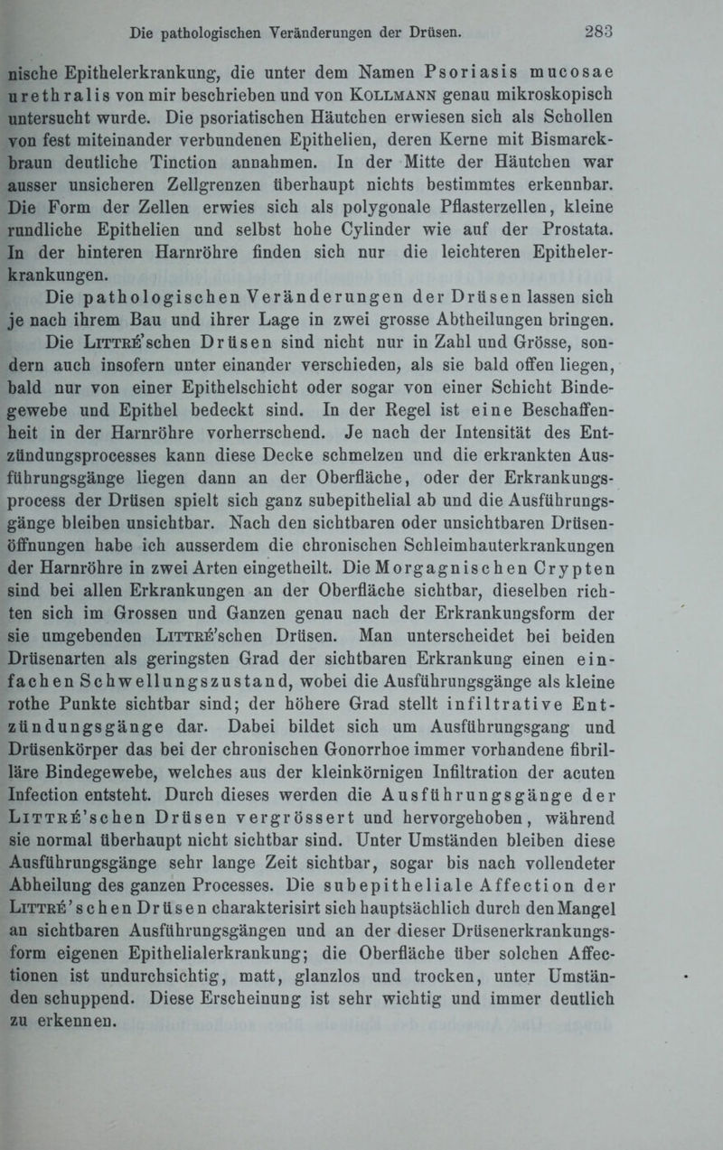 nische Epithelerkrankung, die unter dem Namen Psoriasis mucosae urethralis von mir beschrieben und von Kollmann genau mikroskopisch untersucht wurde. Die psoriatischen Häutchen erwiesen sich als Schollen von fest miteinander verbundenen Epithelien, deren Kerne mit Bismarck¬ braun deutliche Tinction annahmen. In der Mitte der Häutchen war ausser unsicheren Zellgrenzen überhaupt nichts bestimmtes erkennbar. Die Form der Zellen erwies sich als polygonale Pflasterzellen, kleine rundliche Epithelien und selbst hohe Cylinder wie auf der Prostata. In der hinteren Harnröhre finden sich nur die leichteren Epitheler¬ krankungen. Die pathologischen Veränderungen der Drüsen lassen sich je nach ihrem Bau und ihrer Lage in zwei grosse Abtheilungen bringen. Die Litteesehen Drüsen sind nicht nur in Zahl und Grösse, son¬ dern auch insofern unter einander verschieden, als sie bald offen liegen, bald nur von einer Epithelschicht oder sogar von einer Schicht Binde¬ gewebe und Epithel bedeckt sind. In der Regel ist eine Beschaffen¬ heit in der Harnröhre vorherrschend. Je nach der Intensität des Ent- zündungsprocesses kann diese Decke schmelzen und die erkrankten Aus¬ führungsgänge liegen dann an der Oberfläche, oder der Erkrankungs- process der Drüsen spielt sich ganz subepithelial ab und die Ausführungs¬ gänge bleiben unsichtbar. Nach den sichtbaren oder unsichtbaren Drüsen¬ öffnungen habe ich ausserdem die chronischen Schleimhauterkrankungen der Harnröhre in zwei Arten eingetheilt. Die Morgagnischen Crypten sind bei allen Erkrankungen an der Oberfläche sichtbar, dieselben rich¬ ten sich im Grossen und Ganzen genau nach der Erkrankungsform der sie umgebenden LiTTRE’schen Drüsen. Man unterscheidet bei beiden Drüsenarten als geringsten Grad der sichtbaren Erkrankung einen ein¬ fachen Schwellungszustand, wobei die Ausführungsgänge als kleine rothe Punkte sichtbar sind; der höhere Grad stellt infiltrative Ent¬ zündungsgänge dar. Dabei bildet sich um Ausführungsgang und Drüsenkörper das bei der chronischen Gonorrhoe immer vorhandene fibril¬ läre Bindegewebe, welches aus der kleinkörnigen Infiltration der acuten Infection entsteht. Durch dieses werden die Ausführungsgänge der LiTTRri’schen Drüsen vergrössert und hervorgehoben, während sie normal überhaupt nicht sichtbar sind. Unter Umständen bleiben diese Ausführungsgänge sehr lange Zeit sichtbar, sogar bis nach vollendeter Abheilung des ganzen Processes. Die subepitheliale Affection der Littee ’schenDrüsen charakterisirt sich hauptsächlich durch den Mangel an sichtbaren Ausführungsgängen und an der dieser Drüsenerkrankungs¬ form eigenen Epithelialerkrankung; die Oberfläche über solchen Affec- tionen ist undurchsichtig, matt, glanzlos und trocken, unter Umstän¬ den schuppend. Diese Erscheinung ist sehr wichtig und immer deutlich zu erkennen.